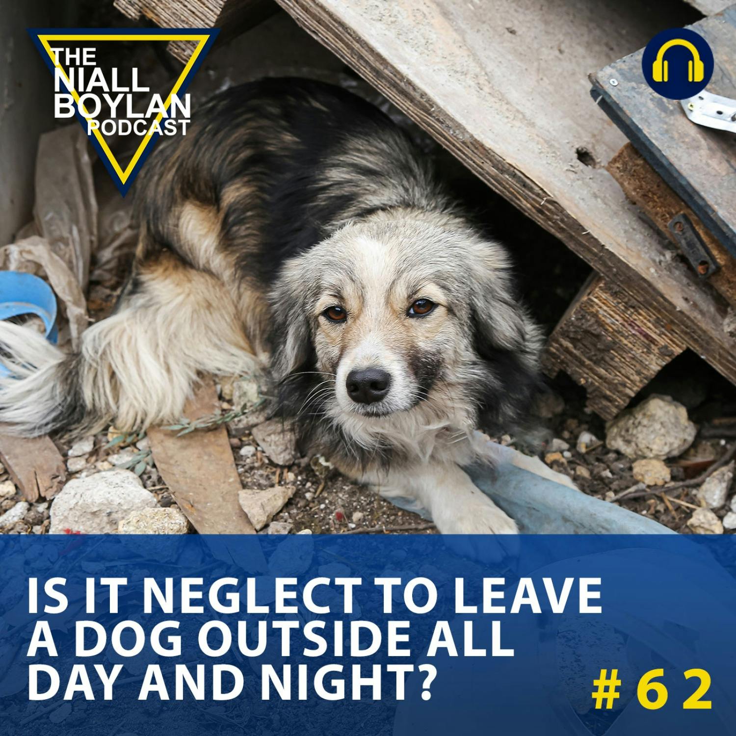 #62 Is It Neglect To Leave A Dog Outside All Day And Night? (Audio)