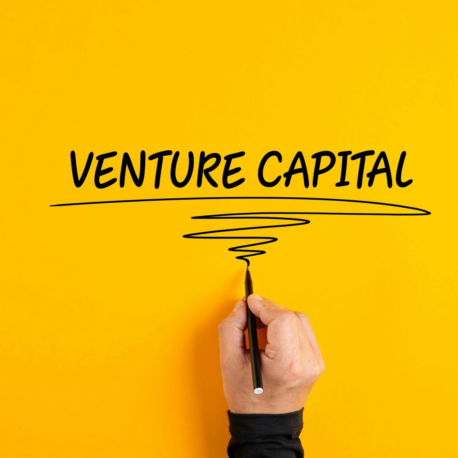 cover of episode Slowdown in venture capital investment