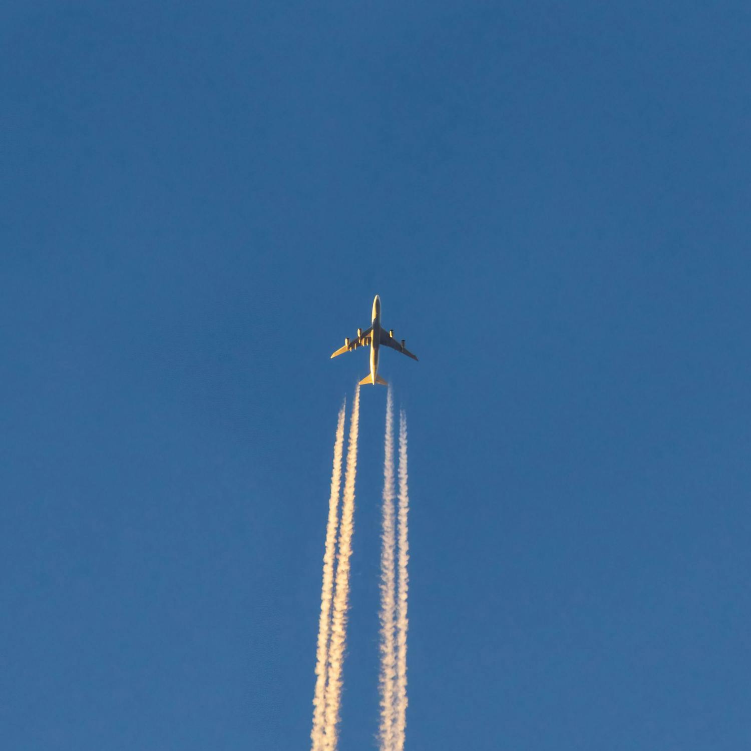 Should you already be booking your summer holidays?