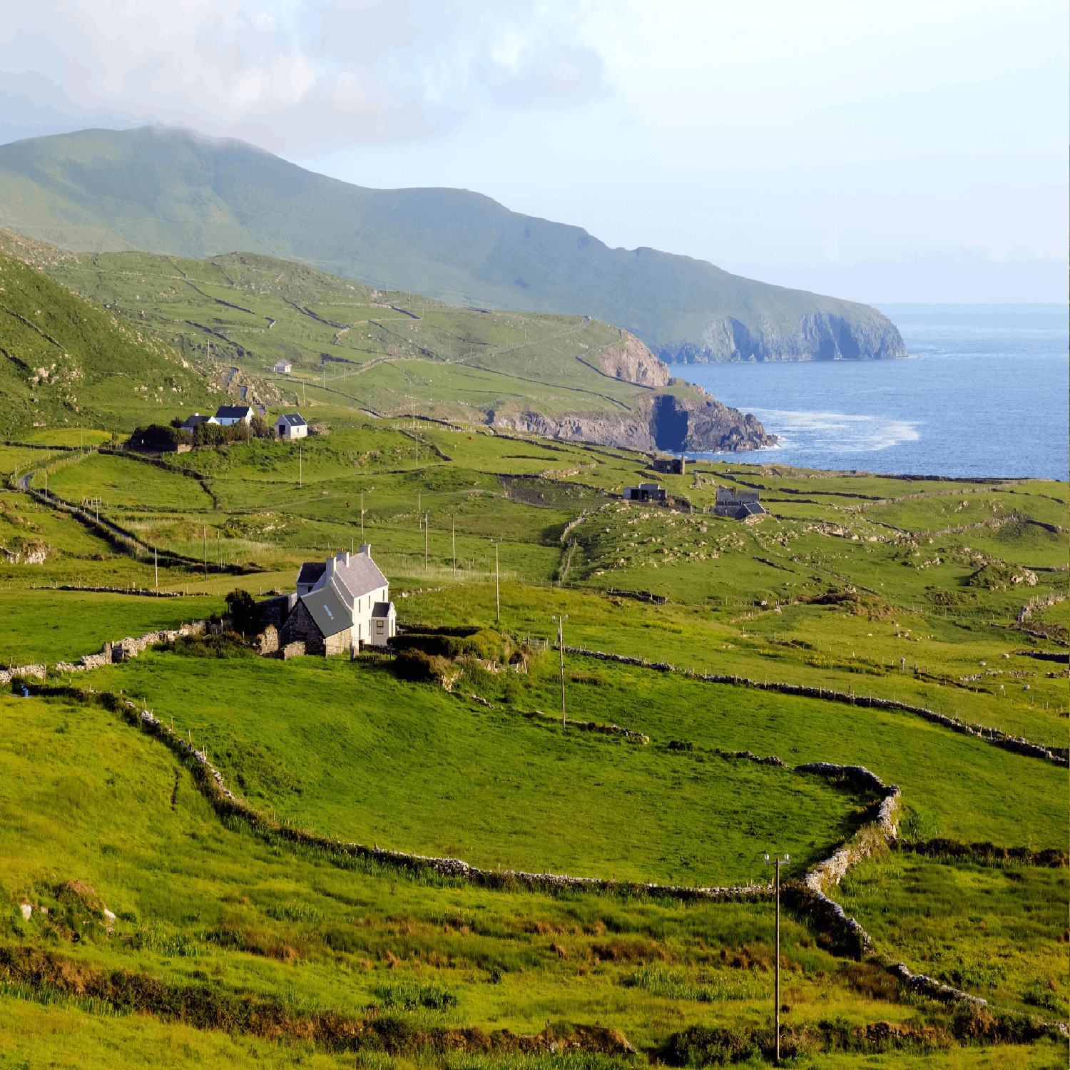 cover of episode "Government's have neglected North Kerry!"