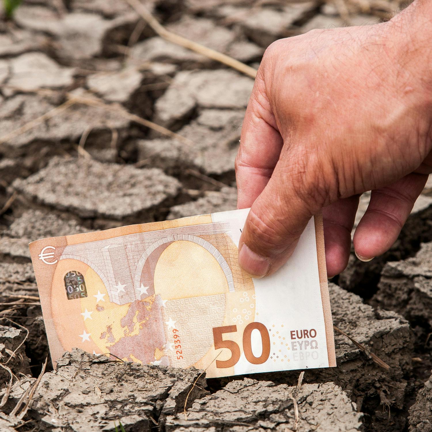 Does it cost too much to go green? Image