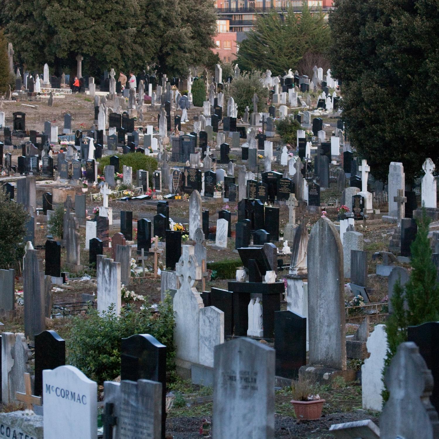 Glasnevin Cemetery to run Queer History Tours Image