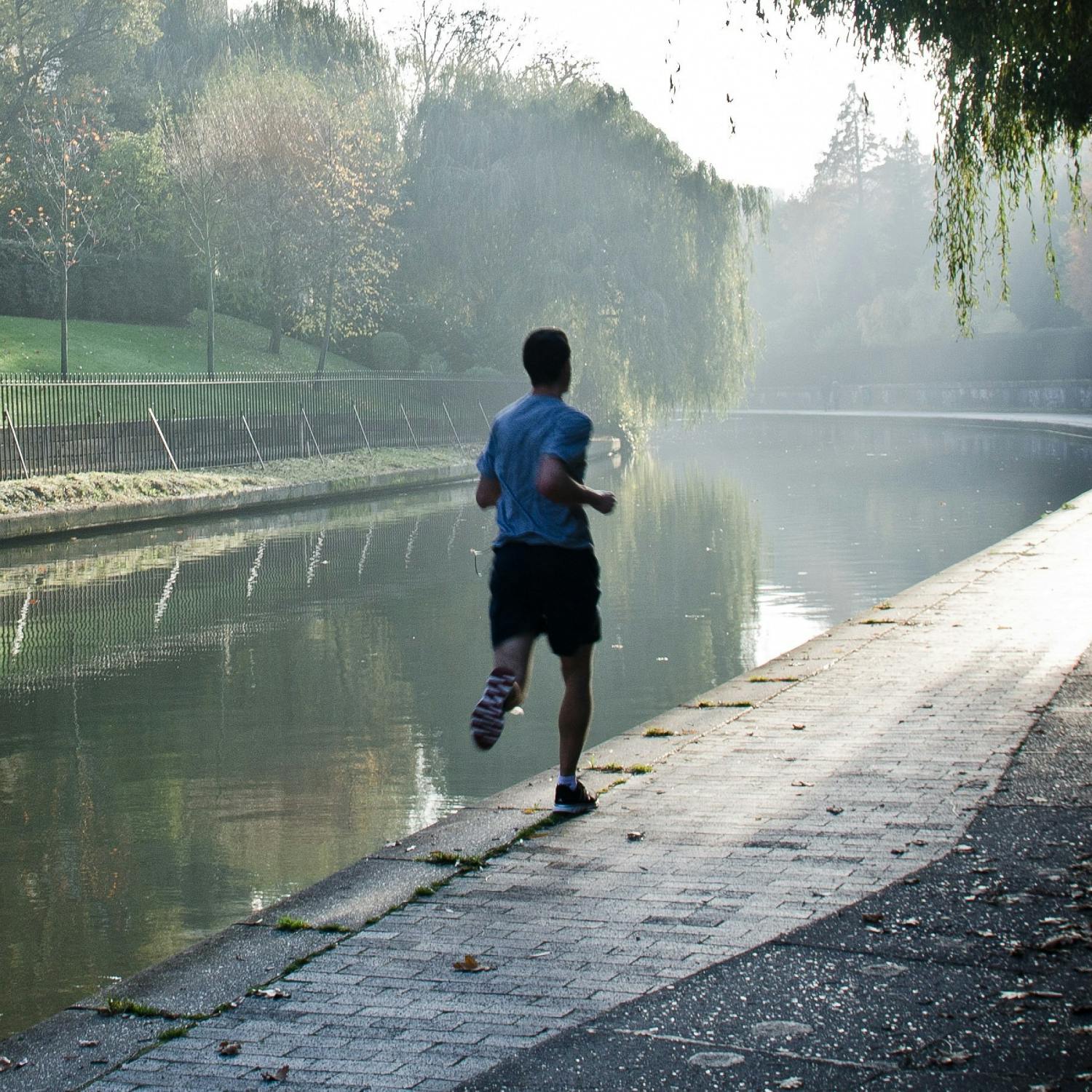 Is less actually more with exercise?