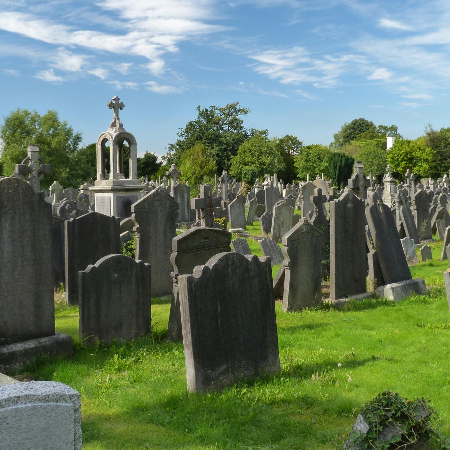 How to do Stuff: Breaking bad news How to do Stuff: Breaking bad news