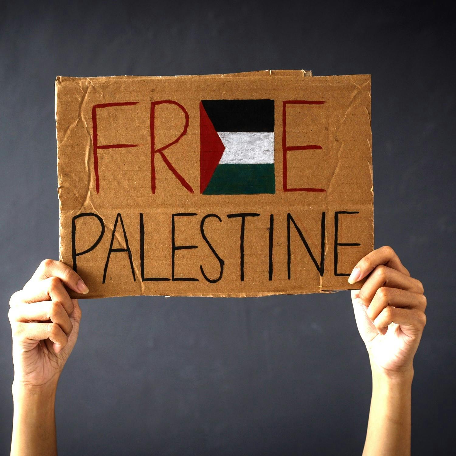 Dublin Primary School Teacher In Trouble Over Attending Pro-Palestine March