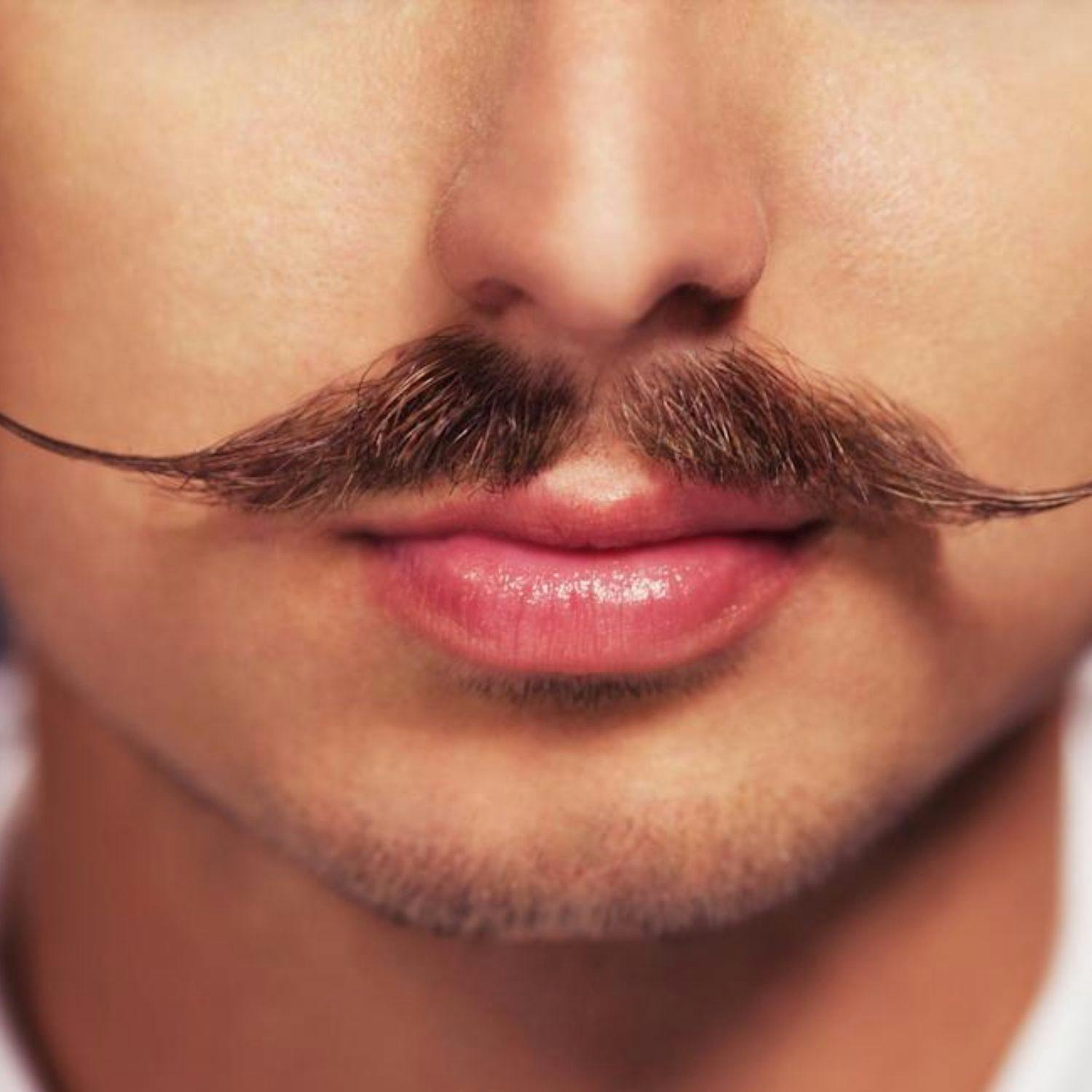 cover of episode How to keep your Movember moustache in check