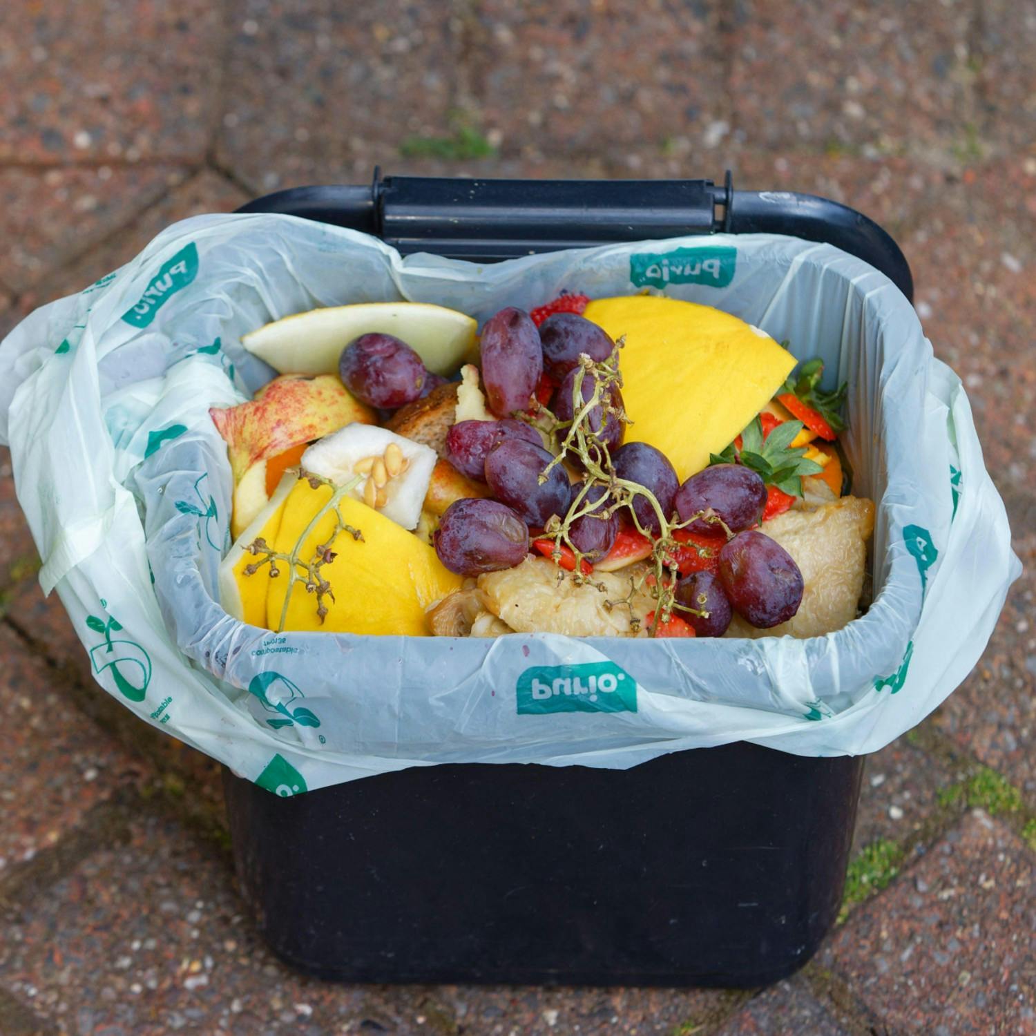 How can we stop wasting food and money?