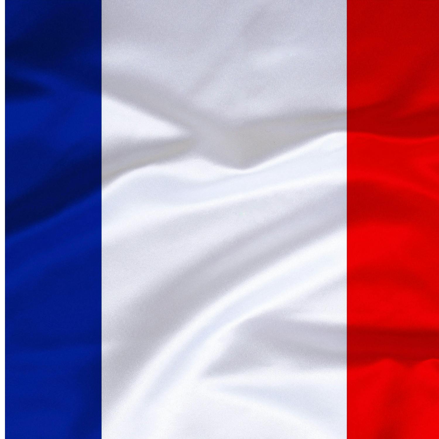 France's top court blocks social media ban for under 15s