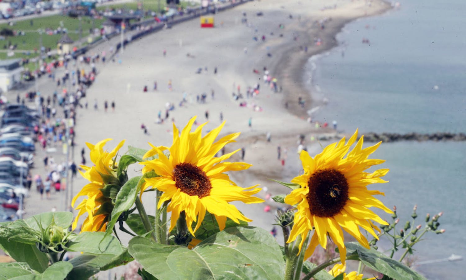 Skincare Tips And Advice From Selene Daly