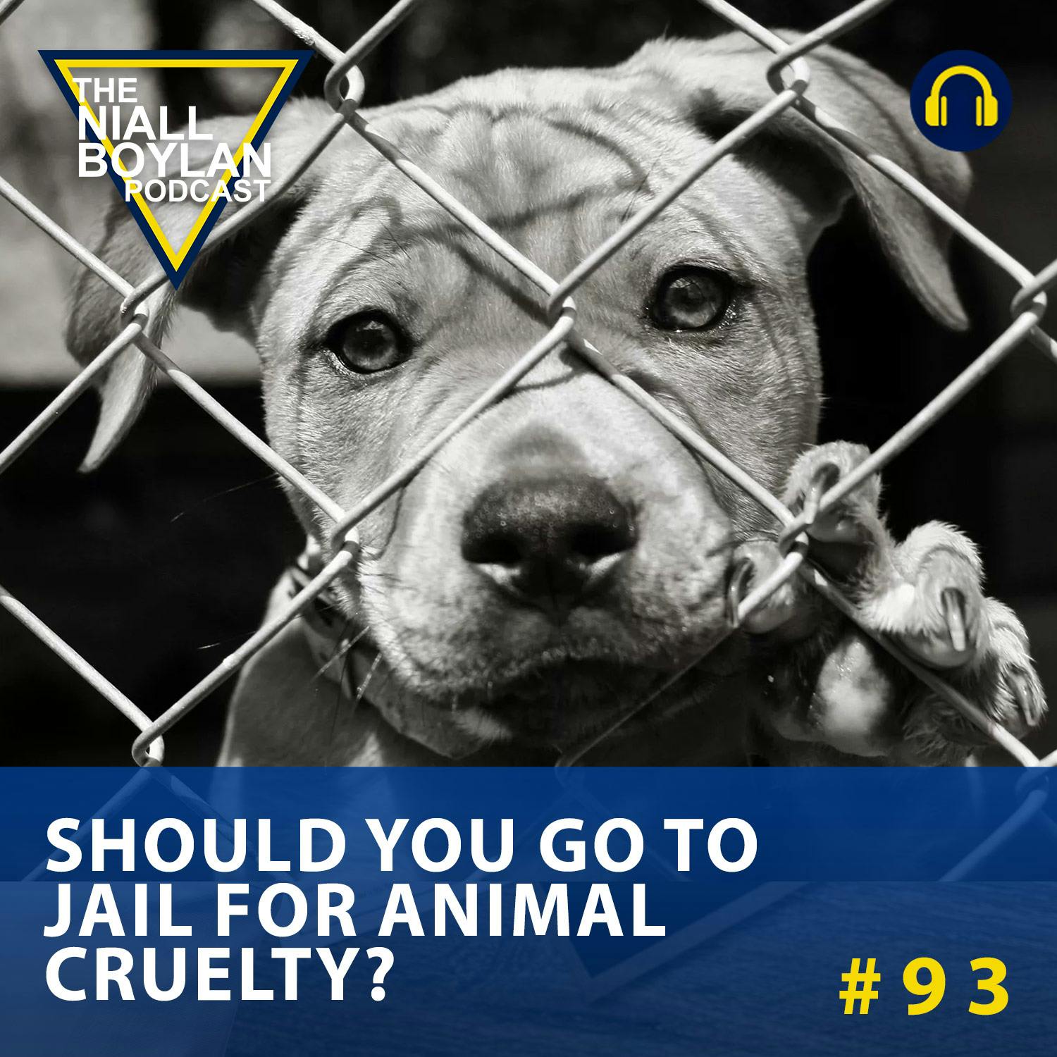 #93 Should You Go To Jail For Animal Cruelty?