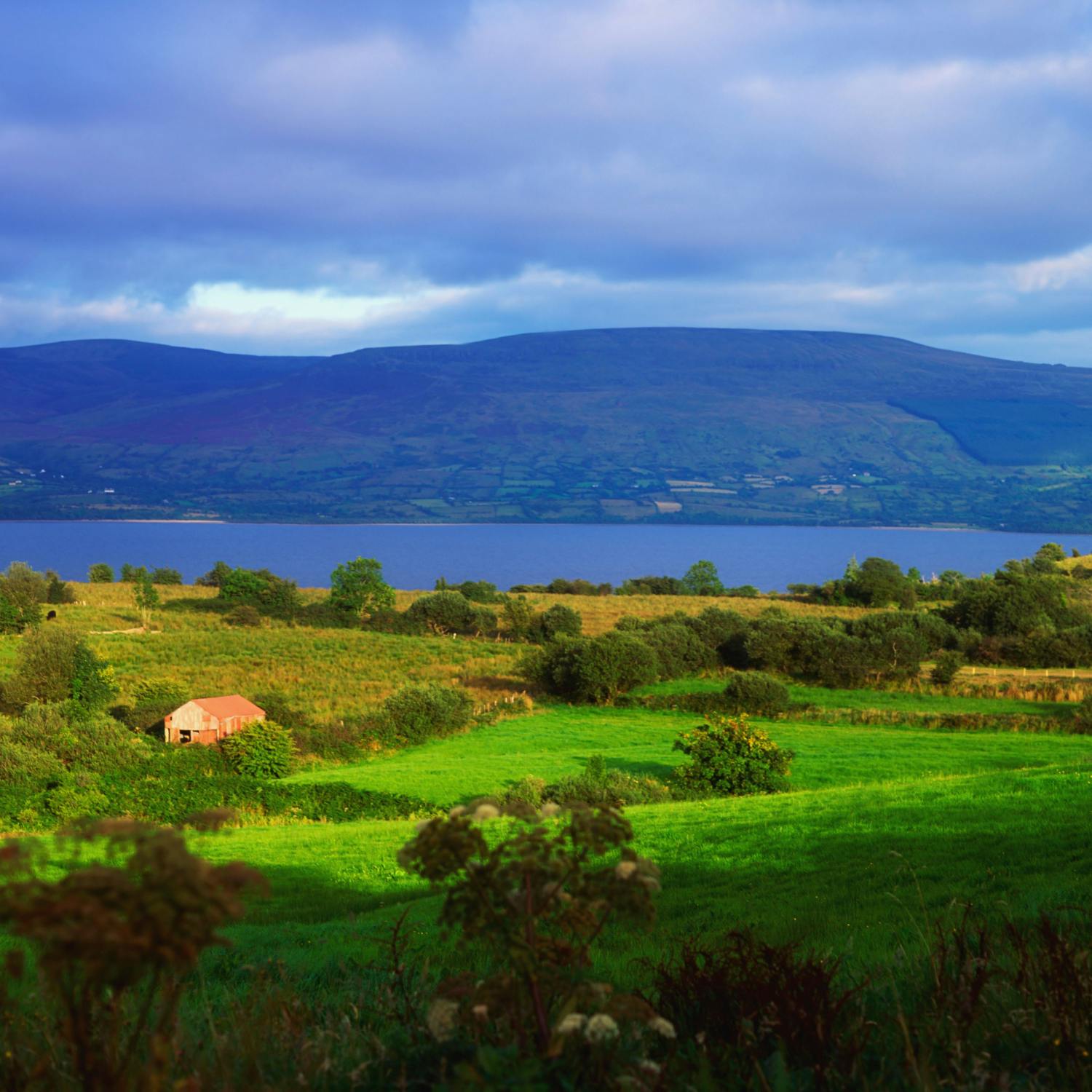 How Would A Rural Ireland Party Work?