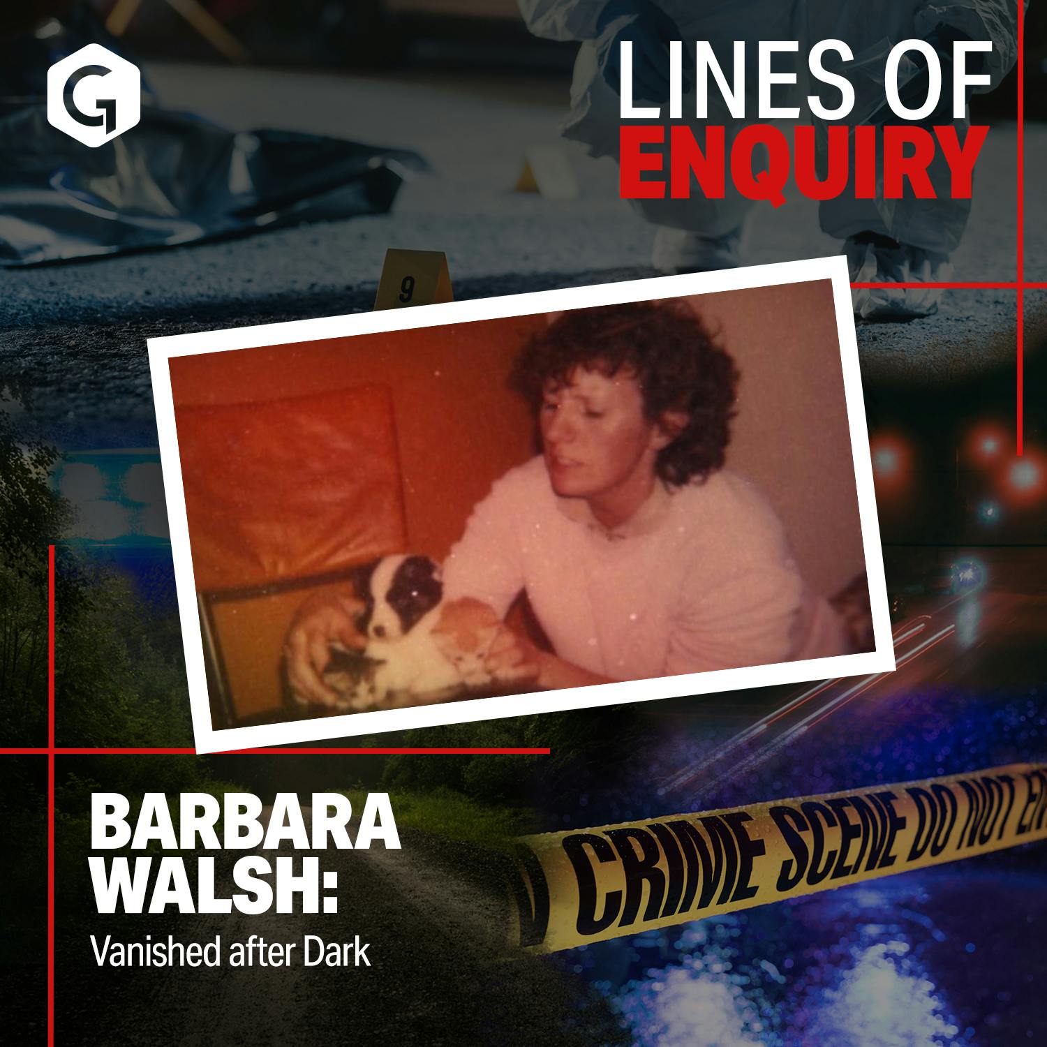 Barbara Walsh: Vanished after Dark Barbara Walsh: Vanished after Dark