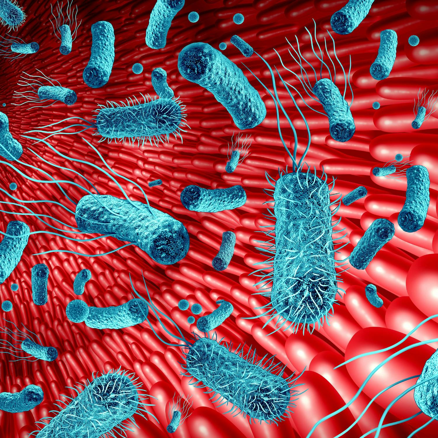 We discuss Antimicrobial Resistance