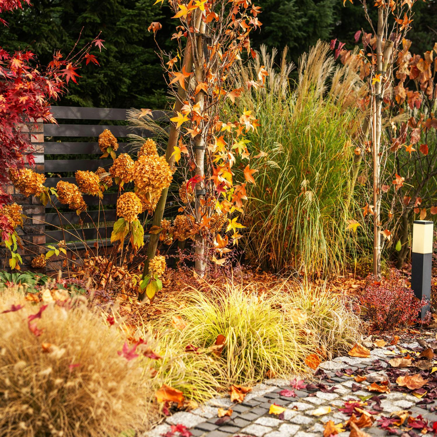 Autumn gardening in the cooler months
