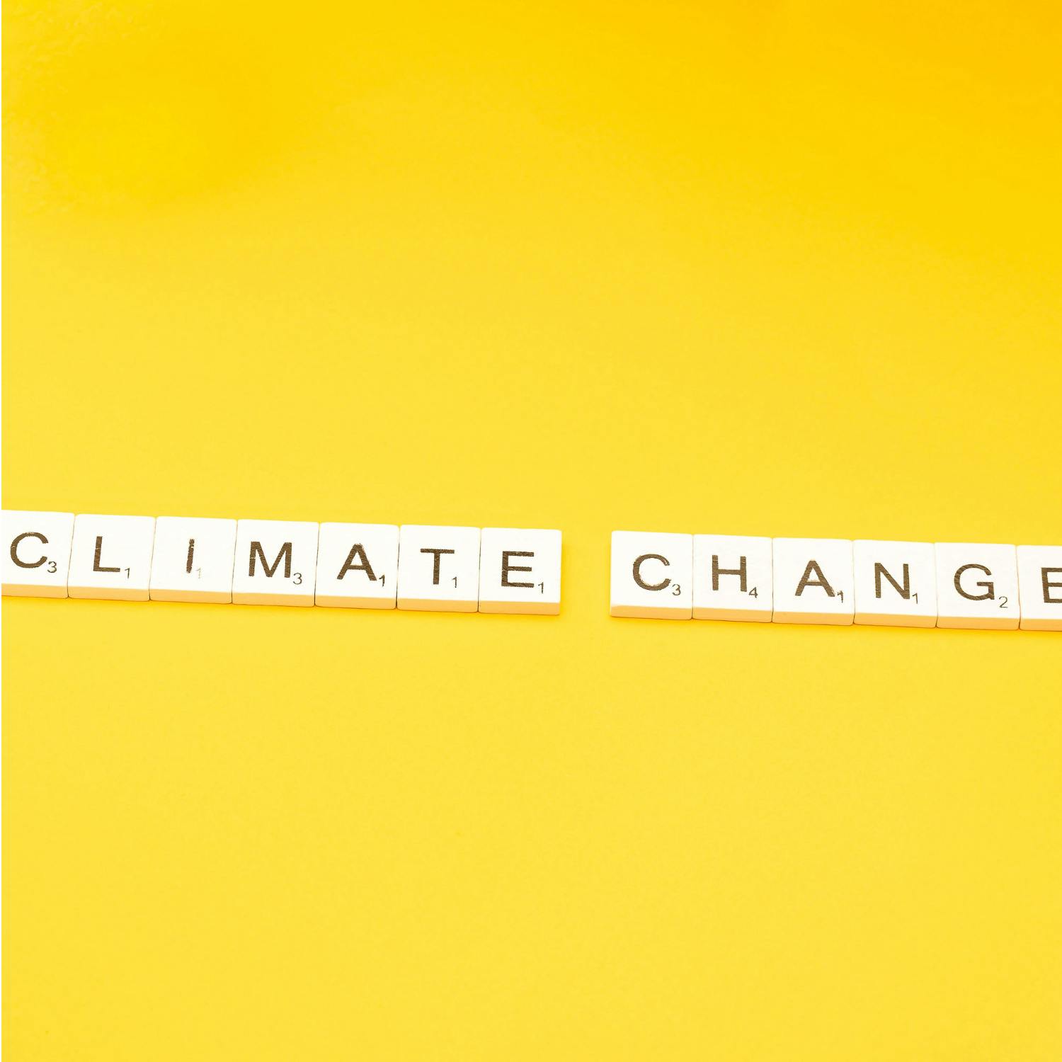 The climate council outlines major concerns for Ireland episode artwork