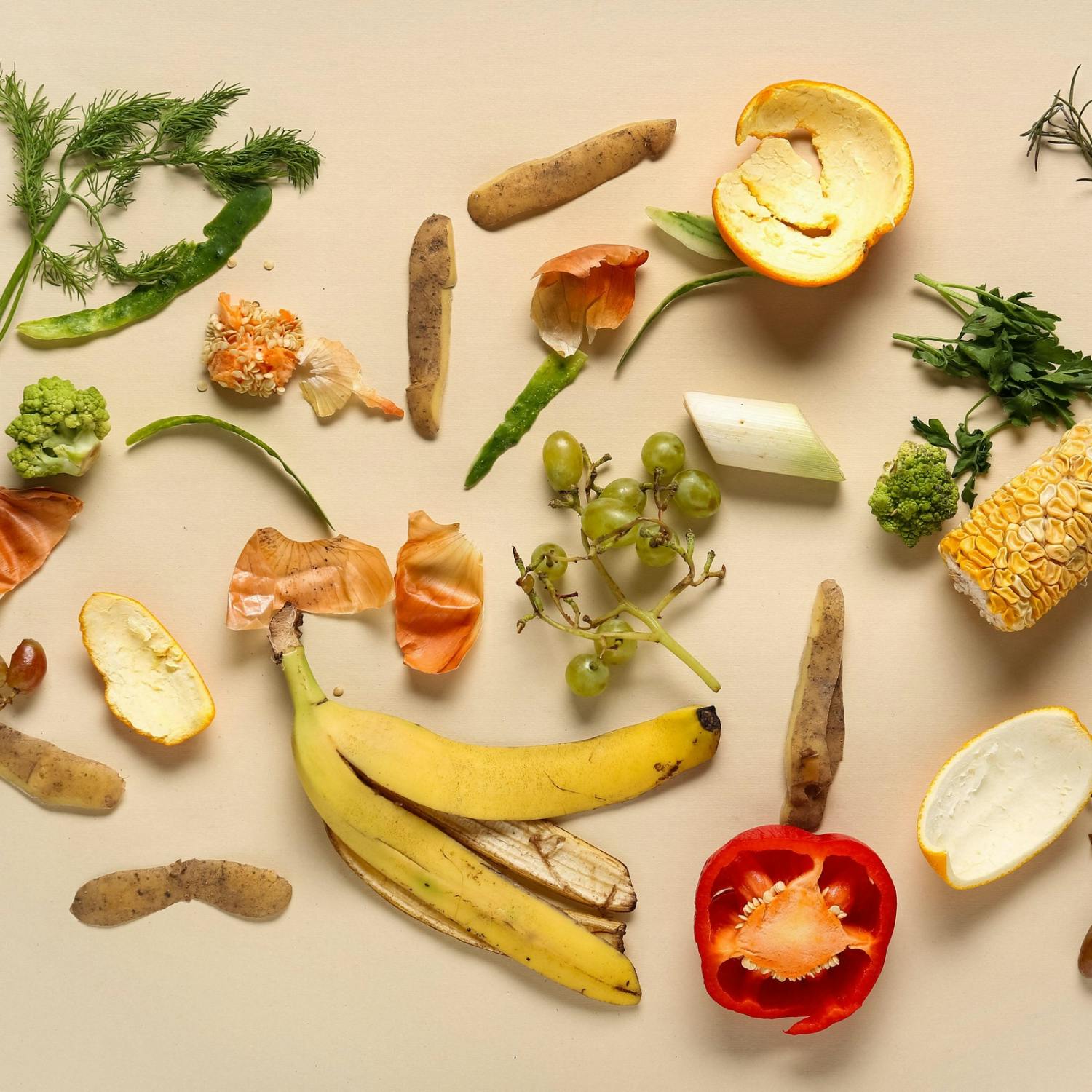 Households are the biggest contributors to food waste Image