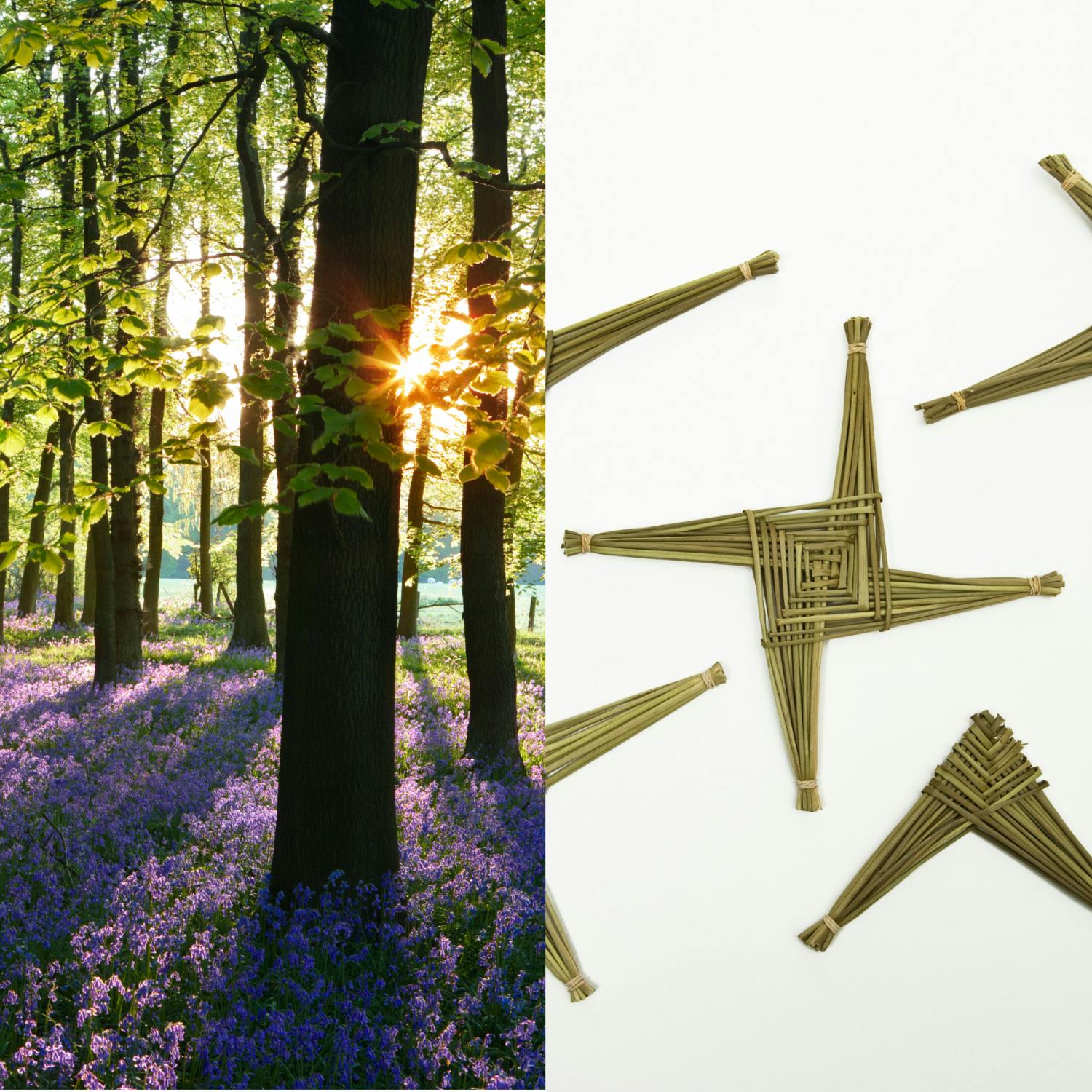 Seasonal Debates, And The History Of St. Brigid (According To Ray) Image