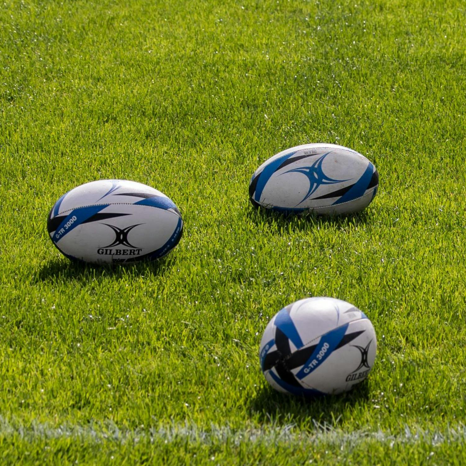 Irish and Welsh rugby fans marking 50 years of friendship