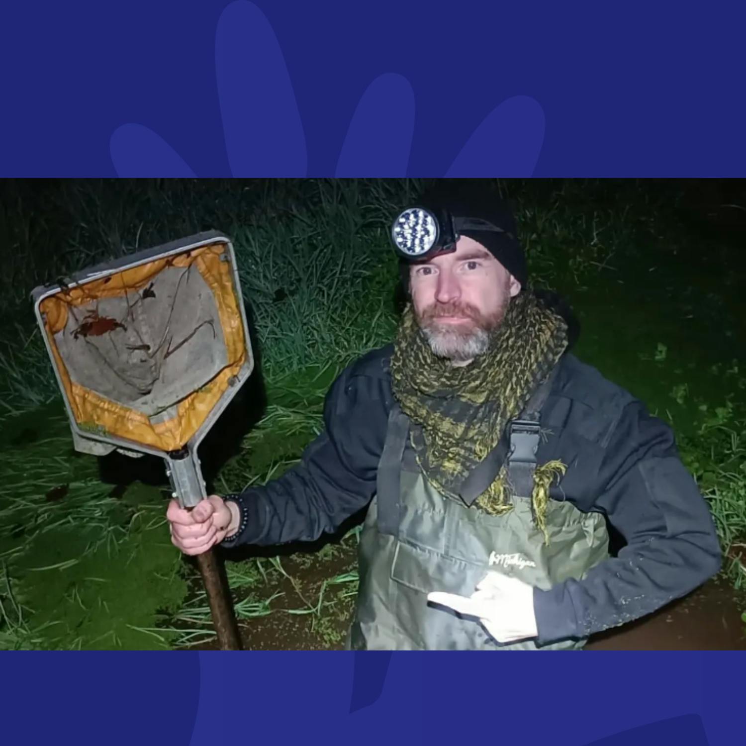 What's It Like To Share Your House With 50 Tarantulas? Collie Ennis Reveals All episode artwork