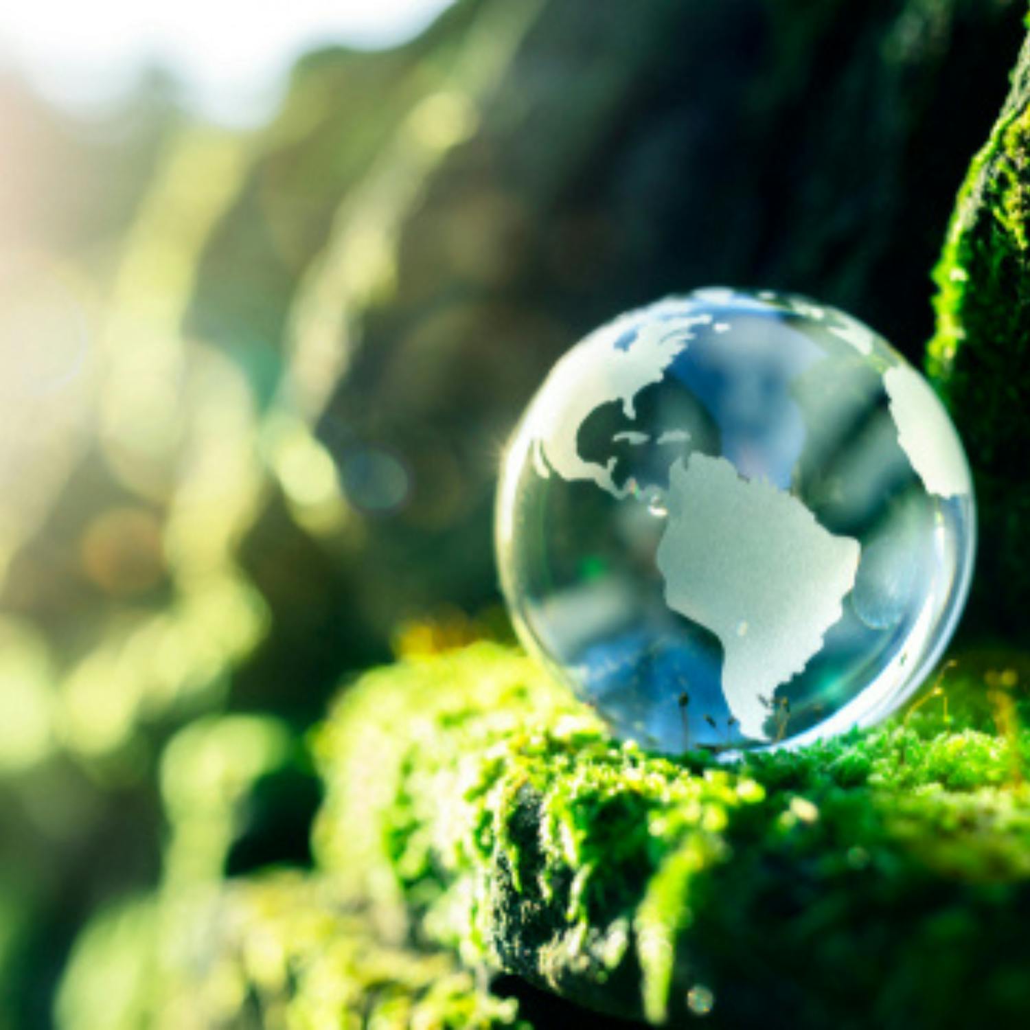 How to stick to being more sustainable in 2024