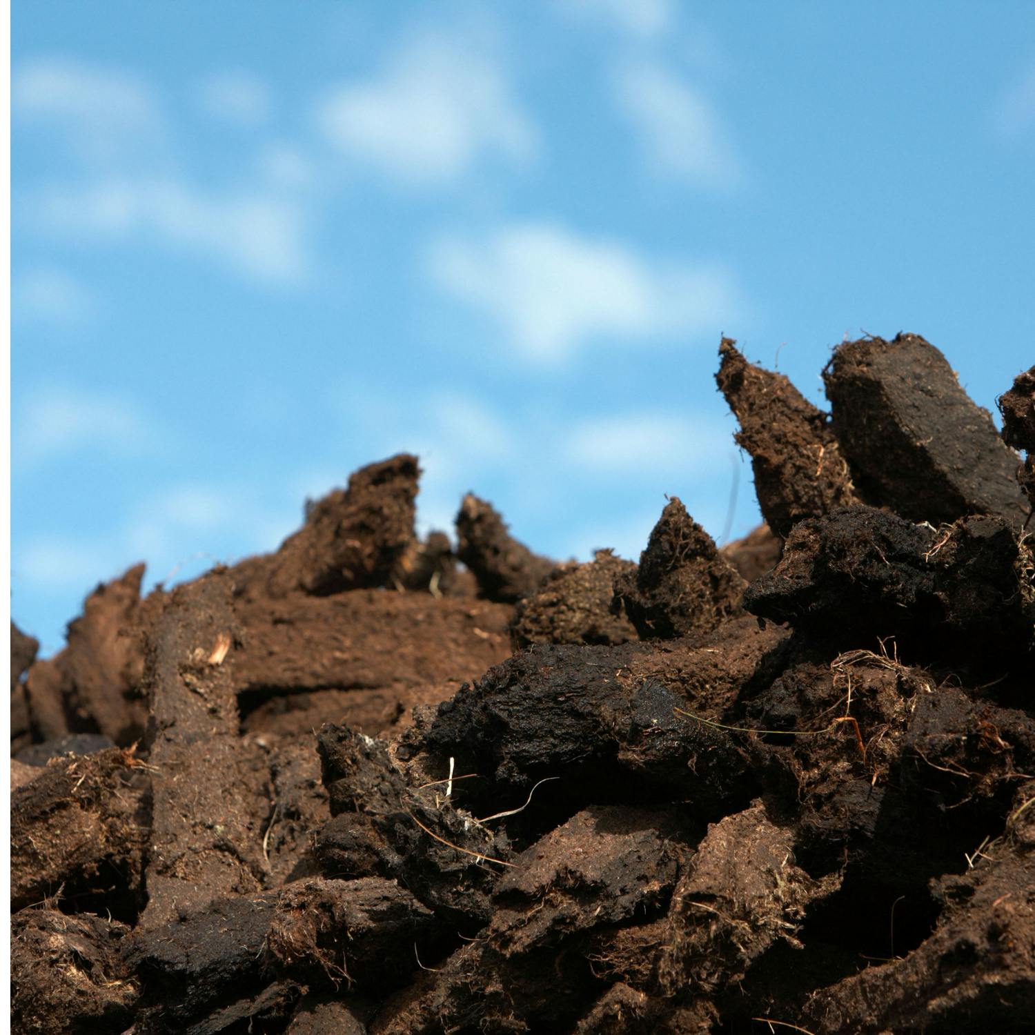 Ireland taken to court over failure to stop illegal peat extraction