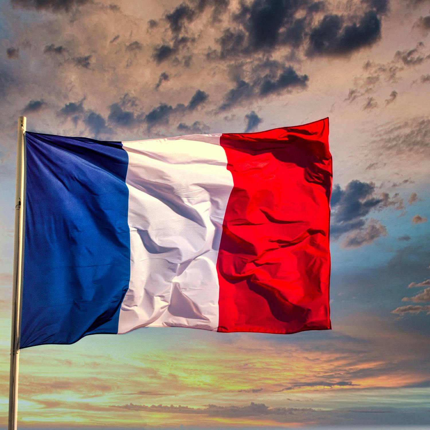French government is urging people to cut back on meat consumption episode artwork