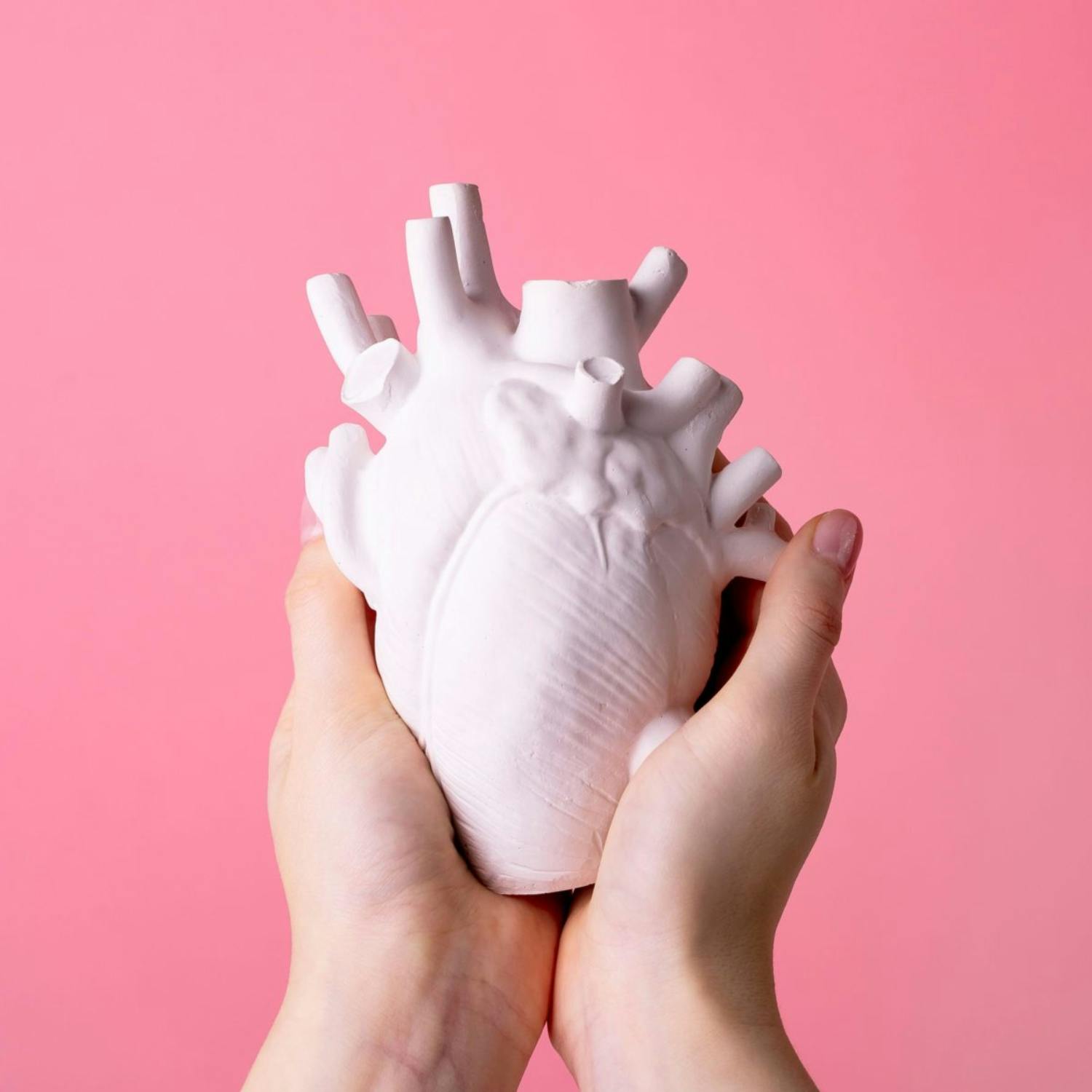 Over 55,000 Irish people refuse to be an organ donor - why? Over 55,000 Irish people refuse to be an organ donor - why?