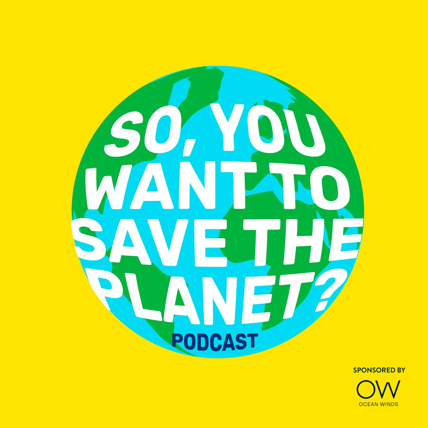 So You Want To Save The Planet? 