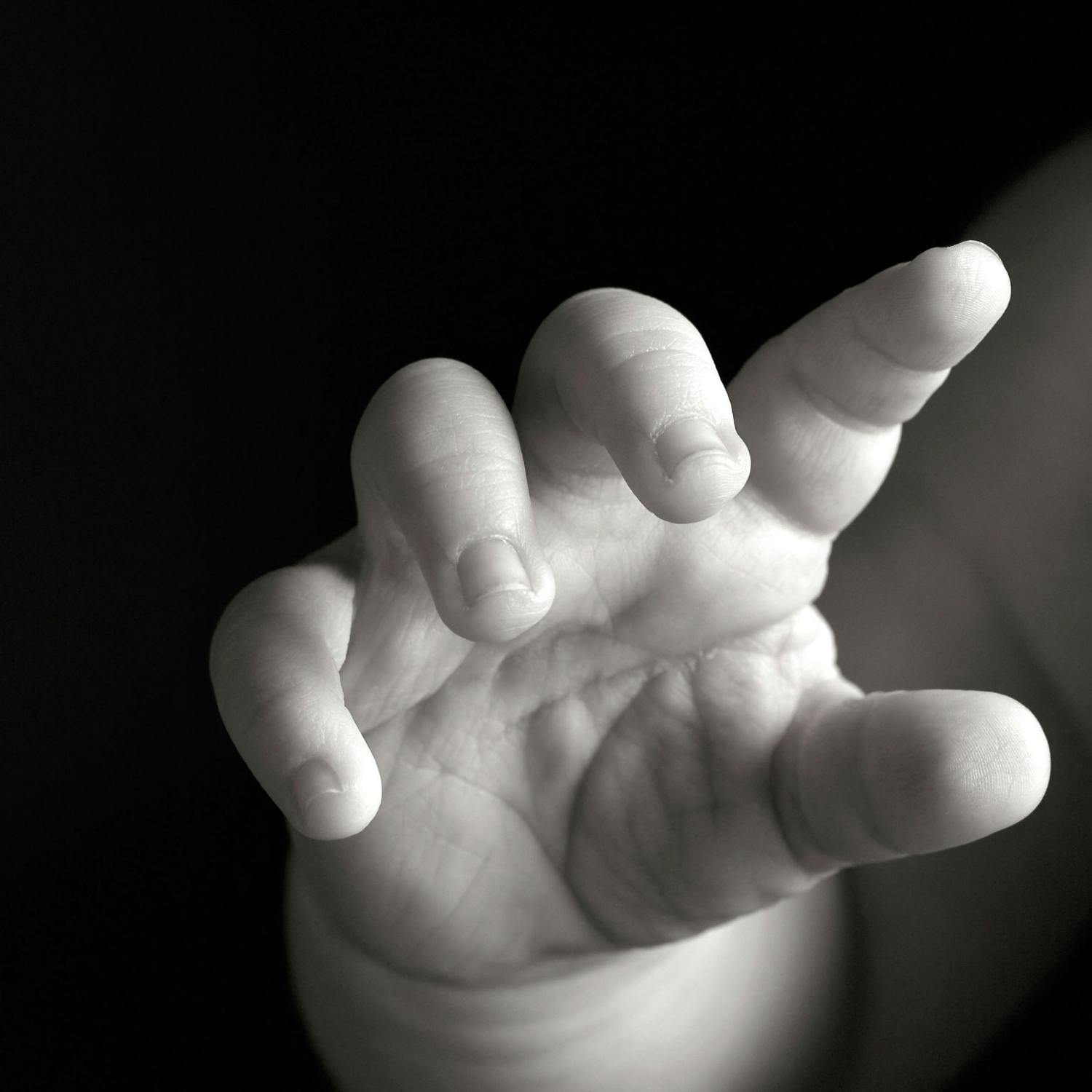 Babies can categorise objects better at two months than previously known episode artwork