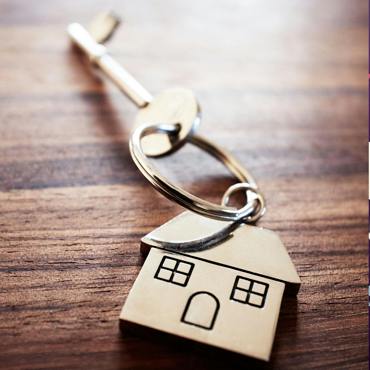 Call for the removal of a set of modular homes in Brittas Call for the removal of a set of modular homes in Brittas