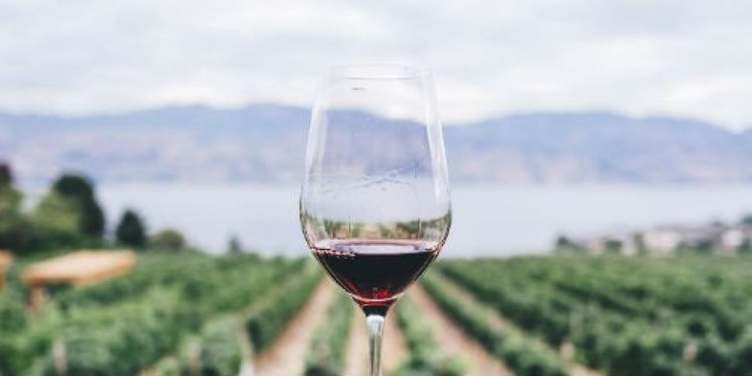Wine holidays, Christmas getaways and more... episode artwork