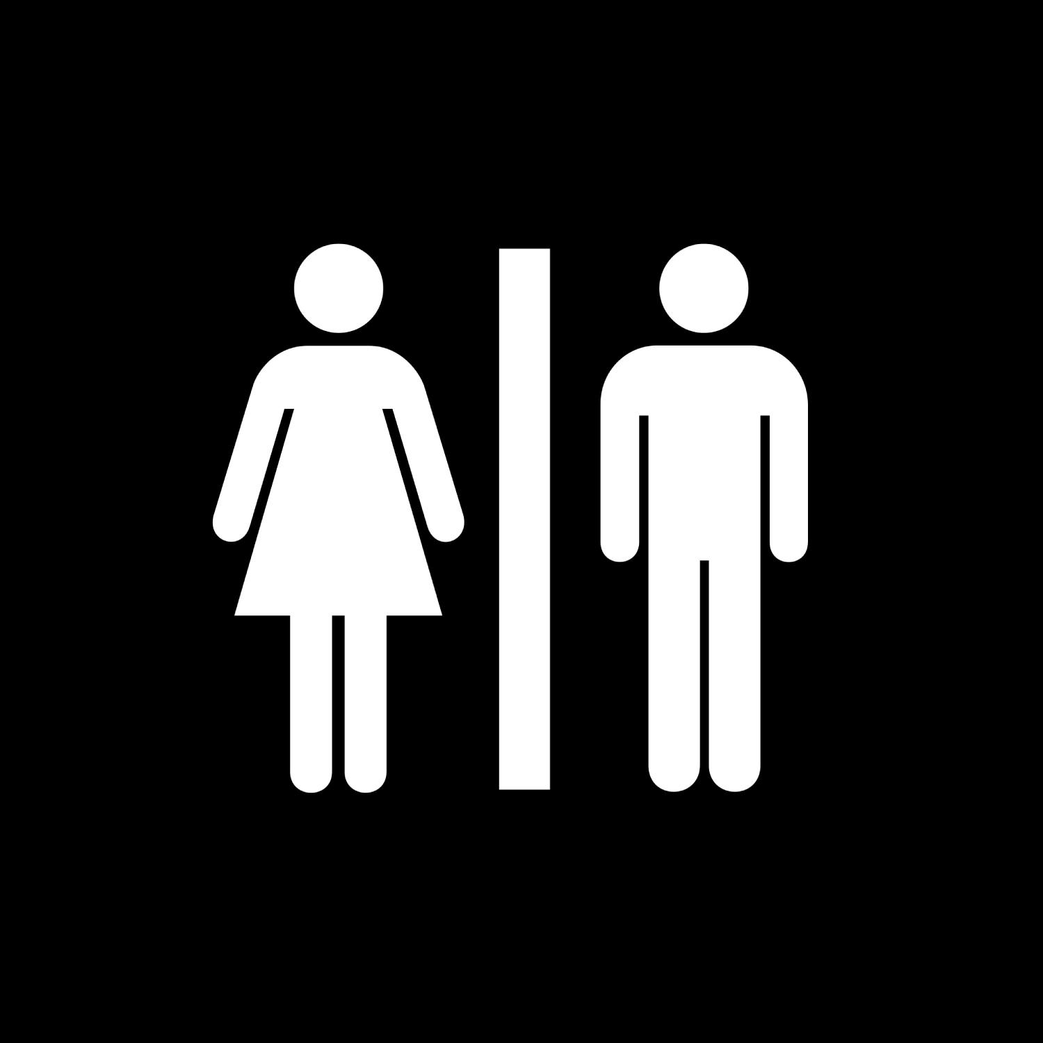 What are the main differences between men and women? artwork
