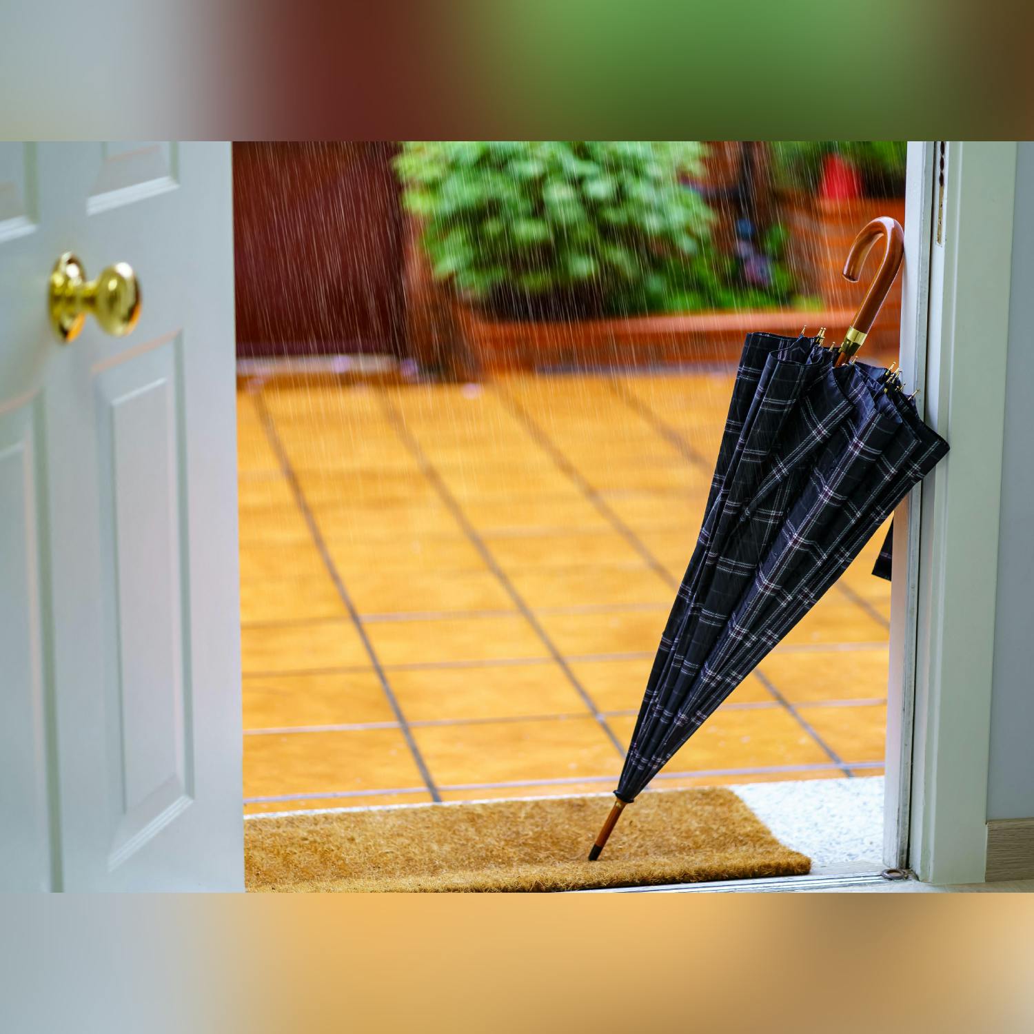 The Home Squad: Wet Weather Entrances
