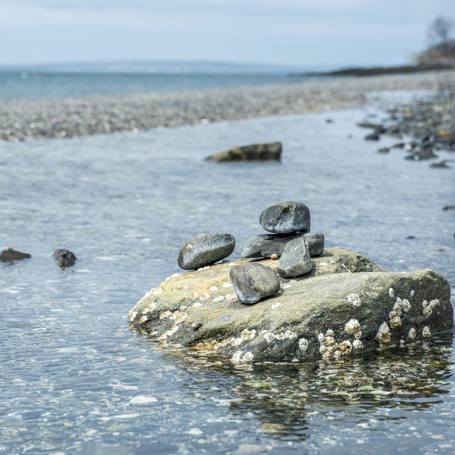 Protecting Ireland's marine ecosystems