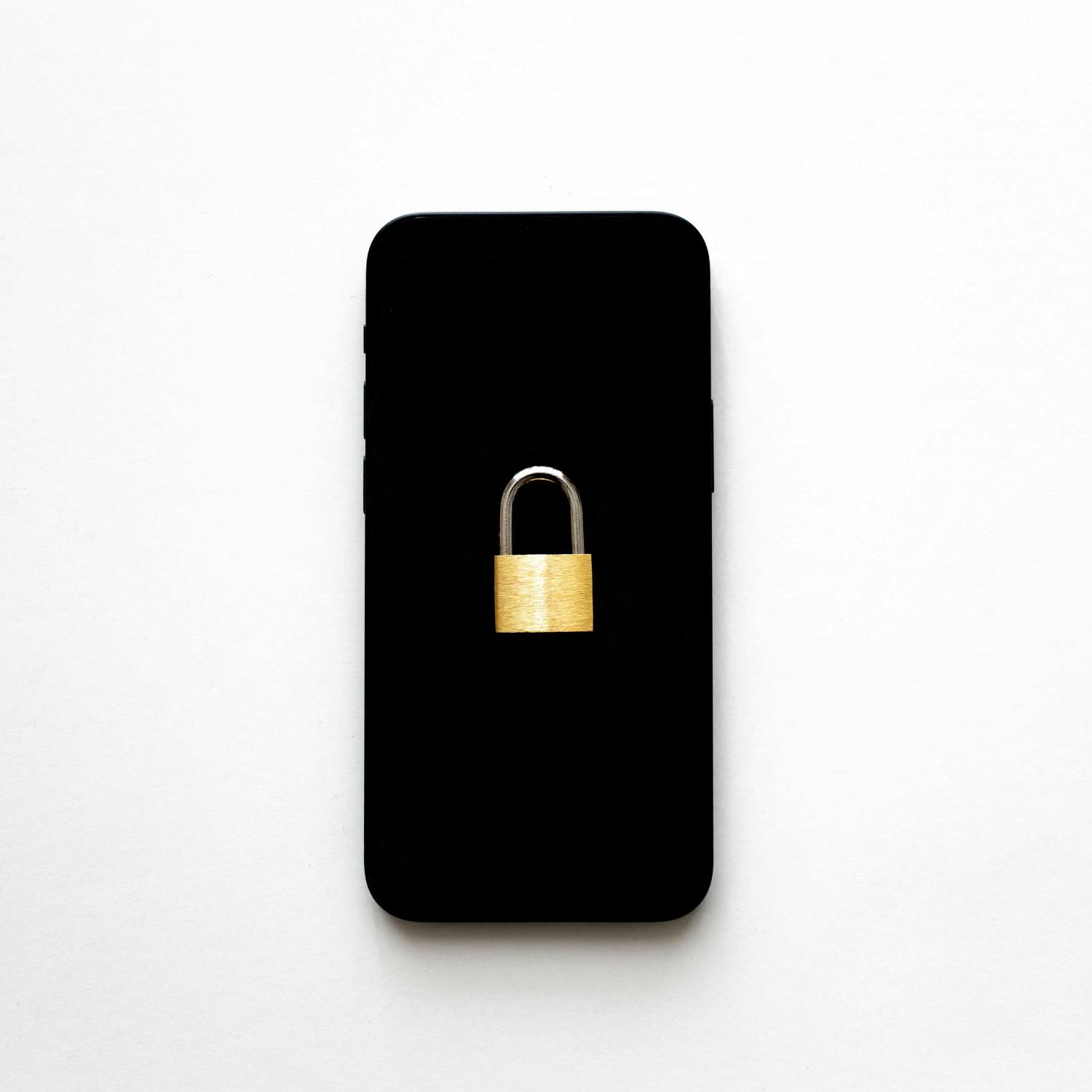 Would you let the State access private messages?