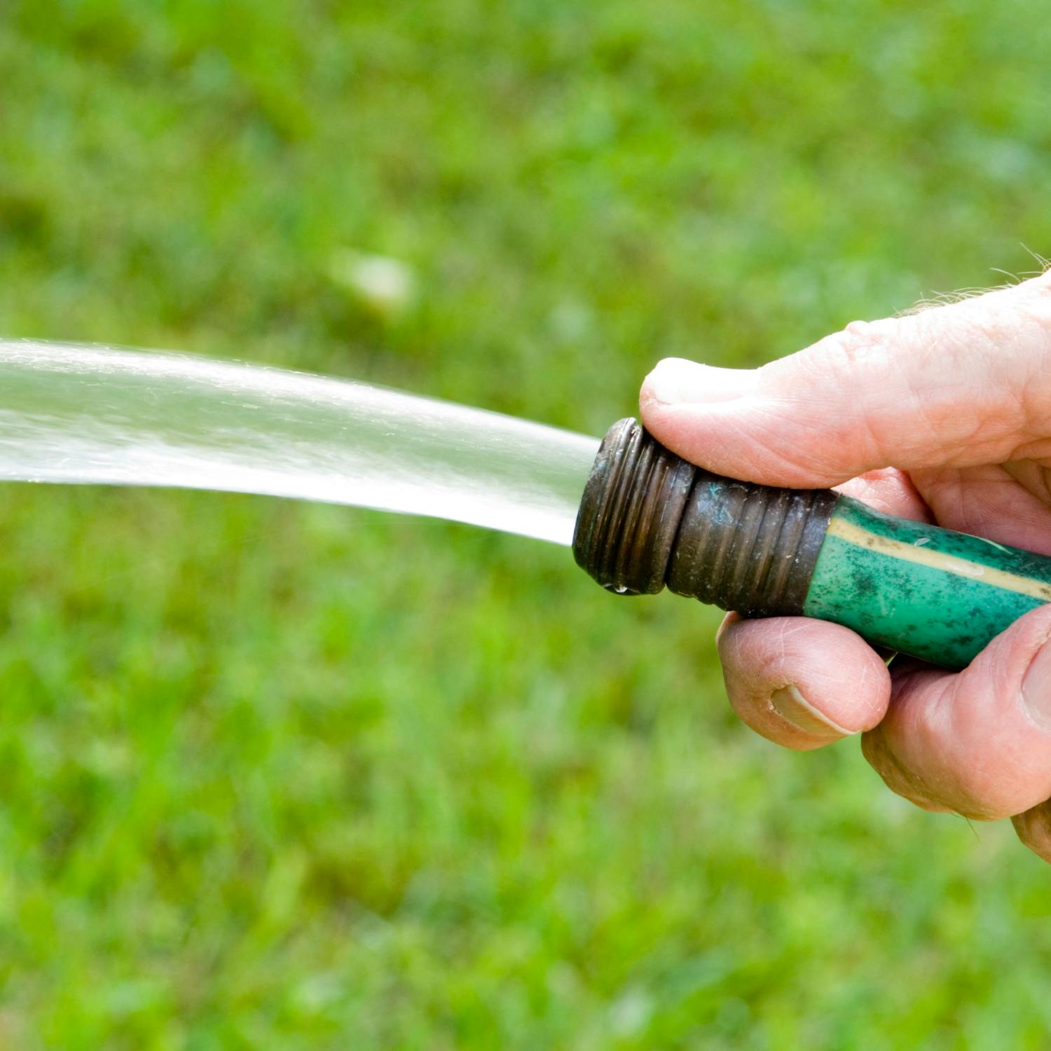 Would you snitch on your neighbour for using a hose? Image