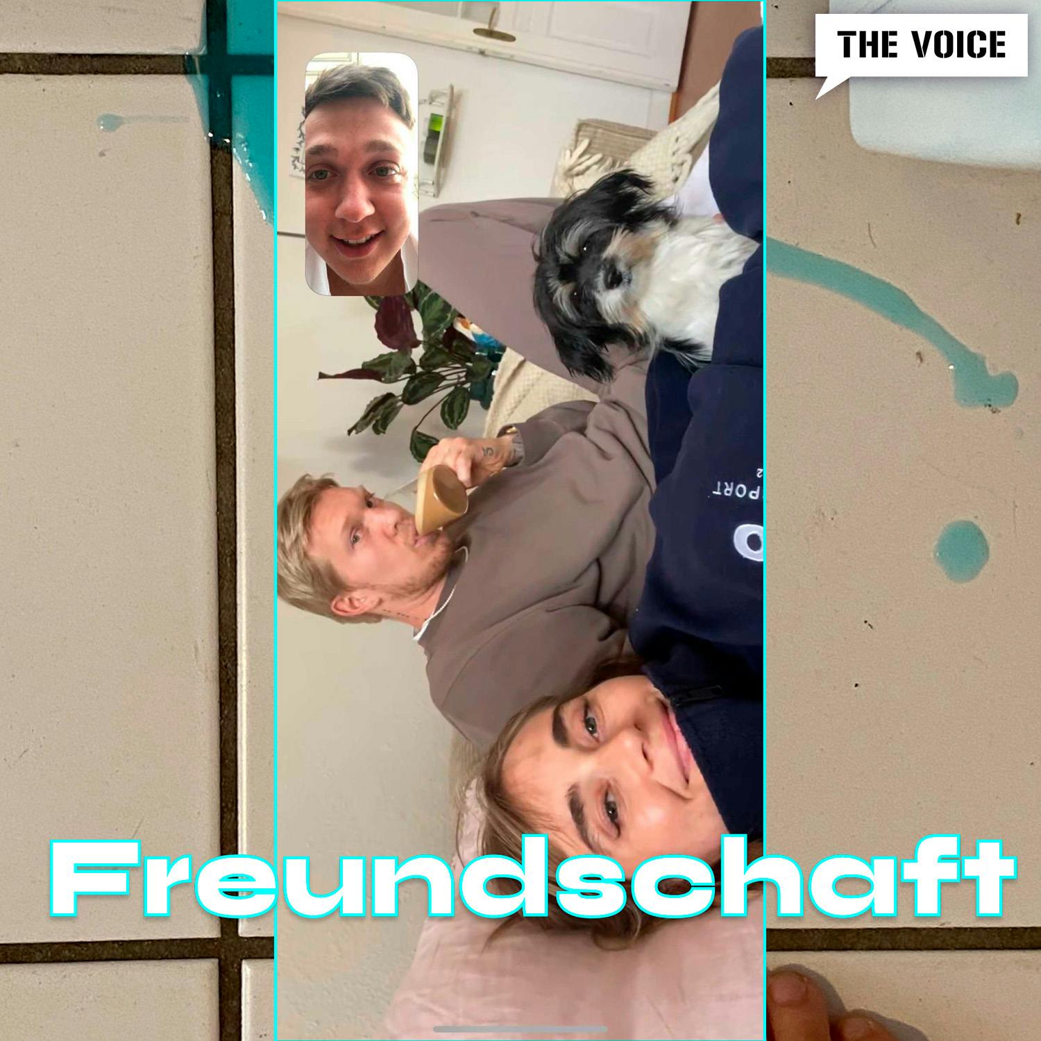 Freundschaft & friends