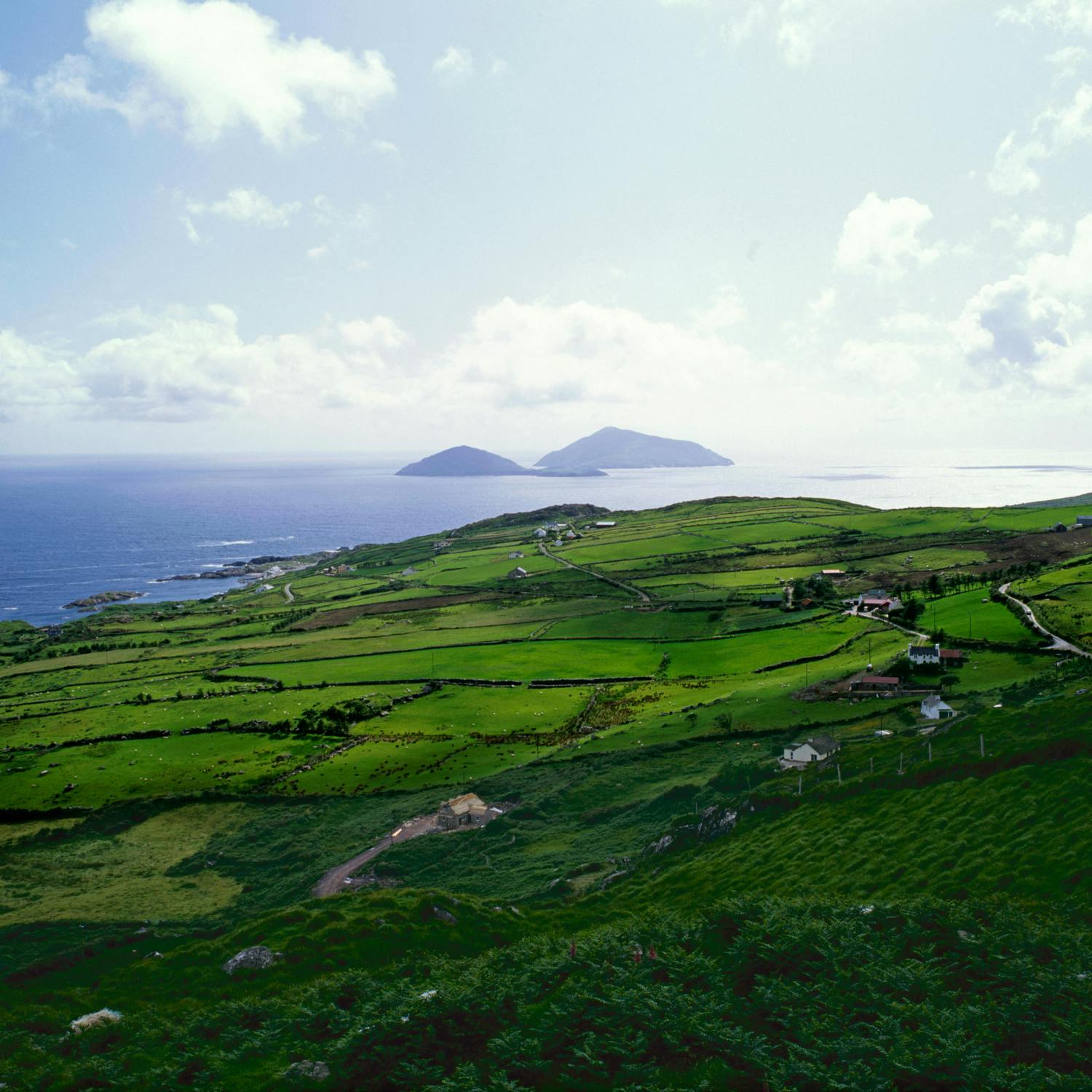 Great Blasket Island gets new caretakers Great Blasket Island gets new caretakers