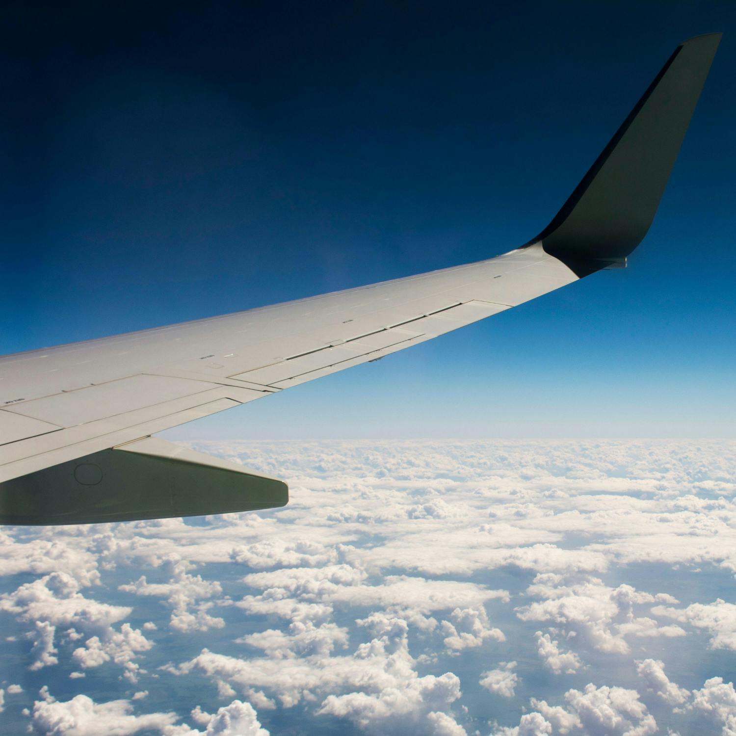 A 200% increase in unruliness on flights! episode artwork