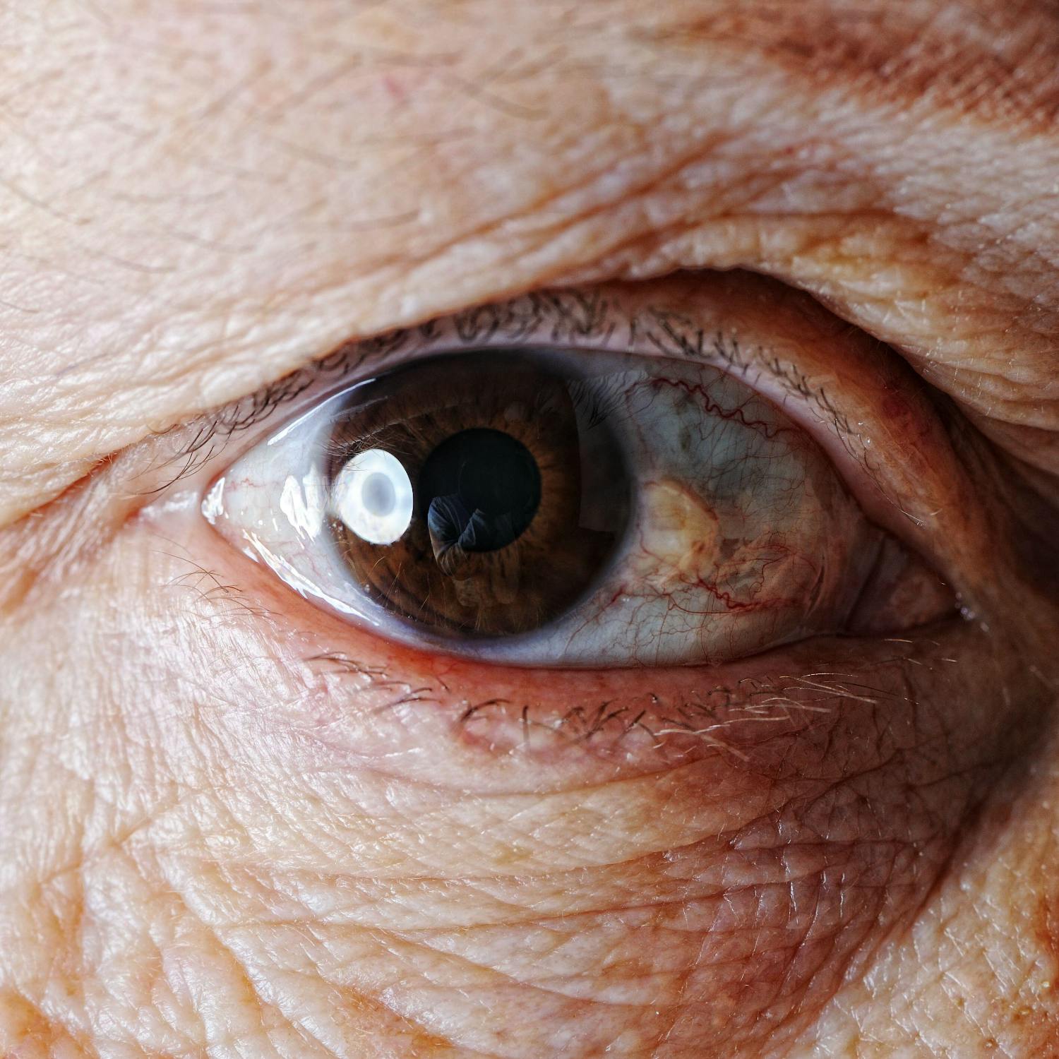 Forever chemicals linked to faster biological ageing in men