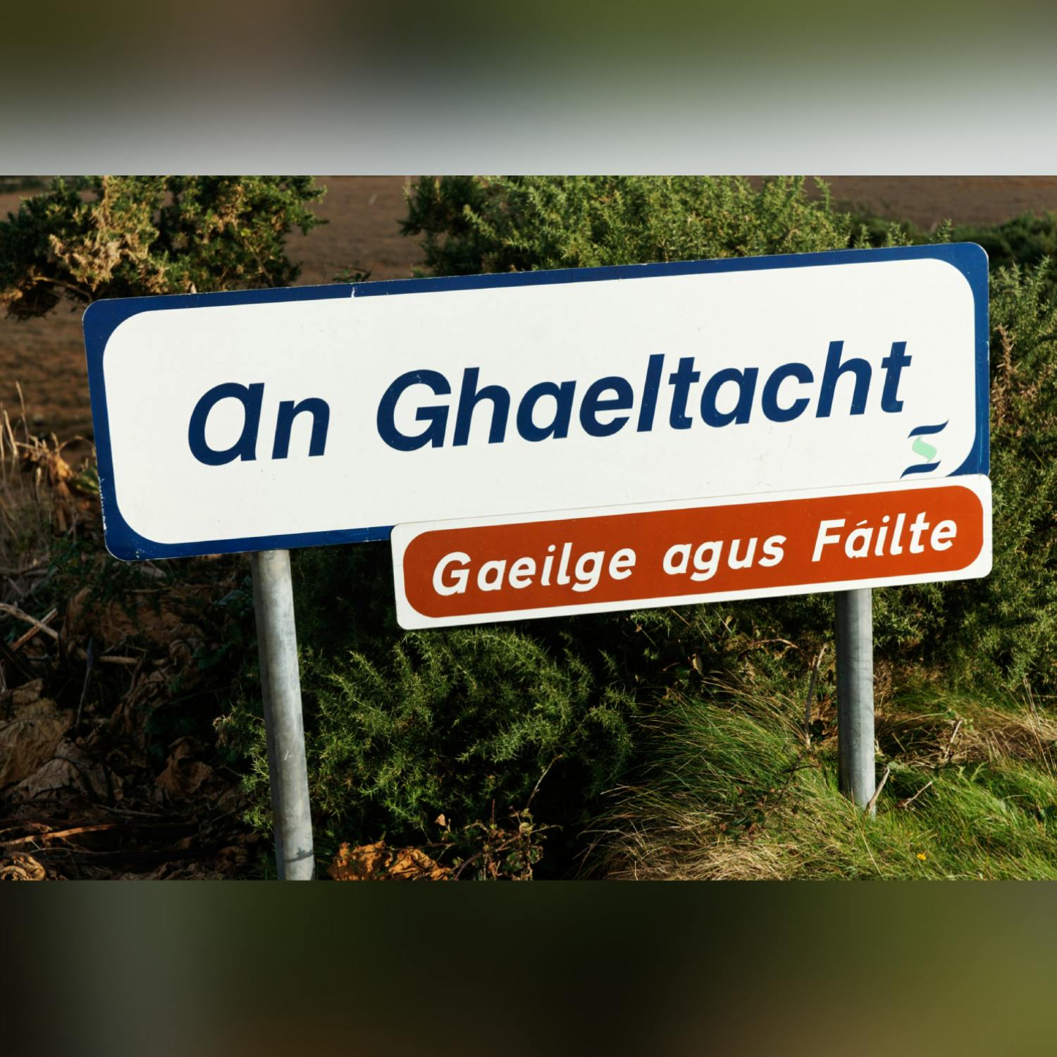 How should young people be encouraged to use Irish?