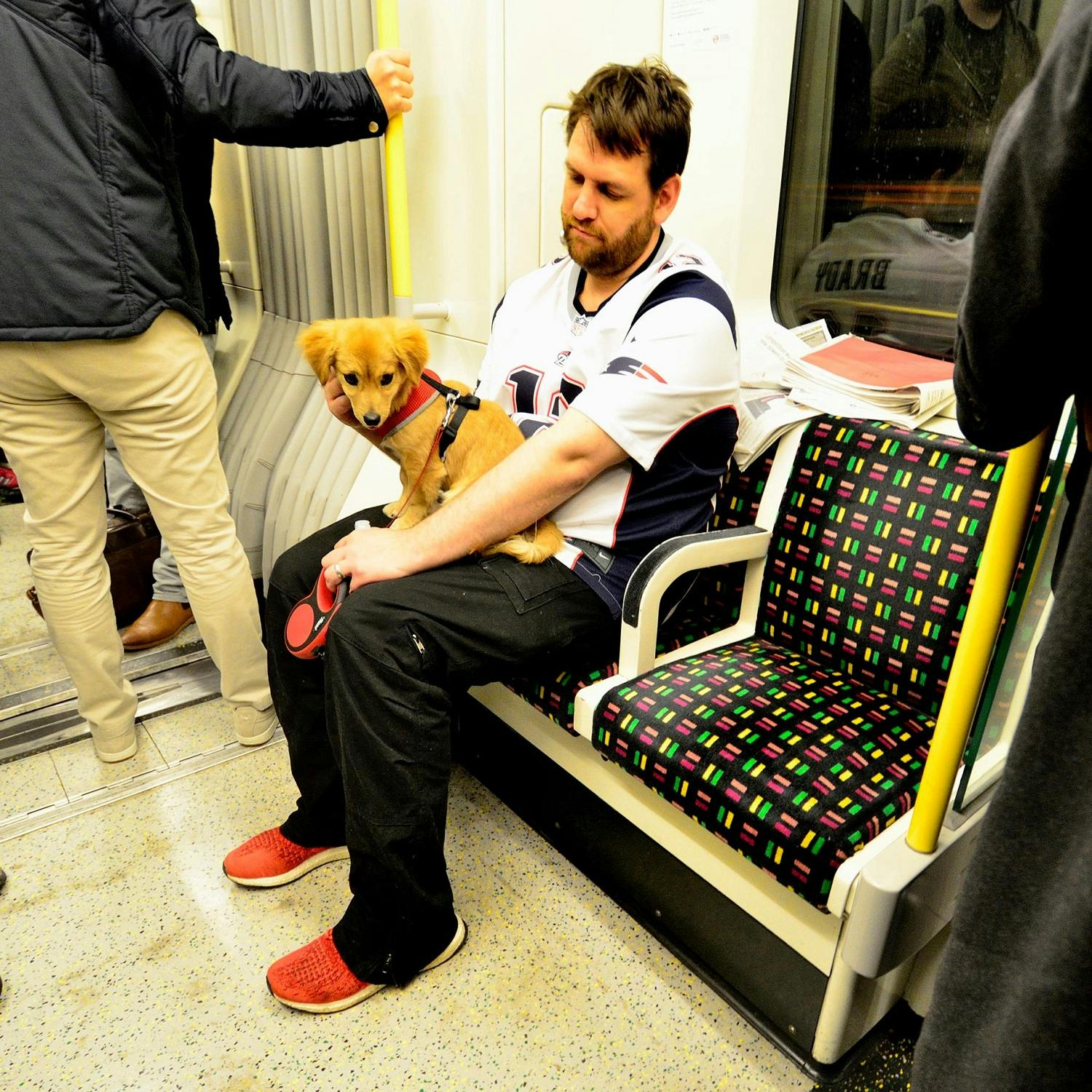 Would letting Pets on Public Transport be a wise decision? episode artwork