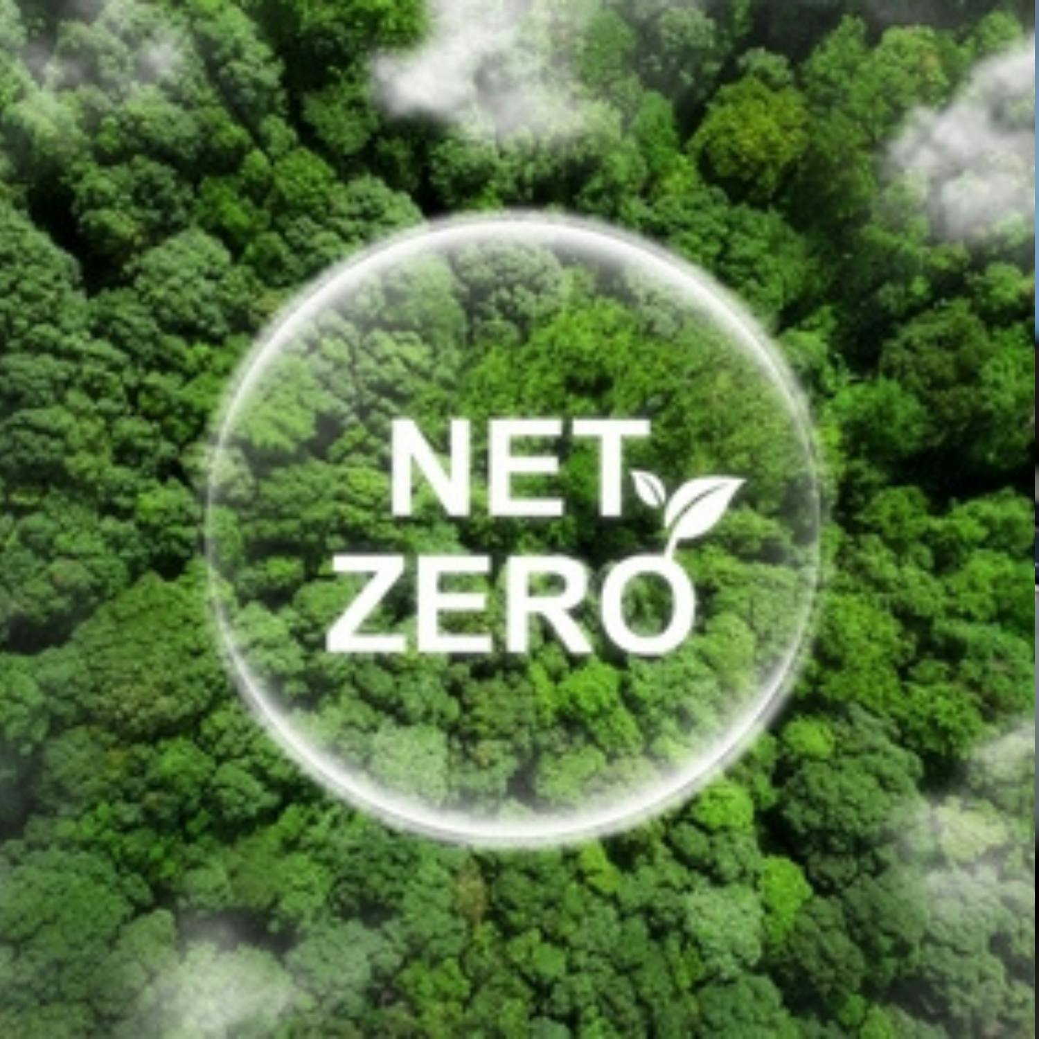 What would a net zero future look like?
