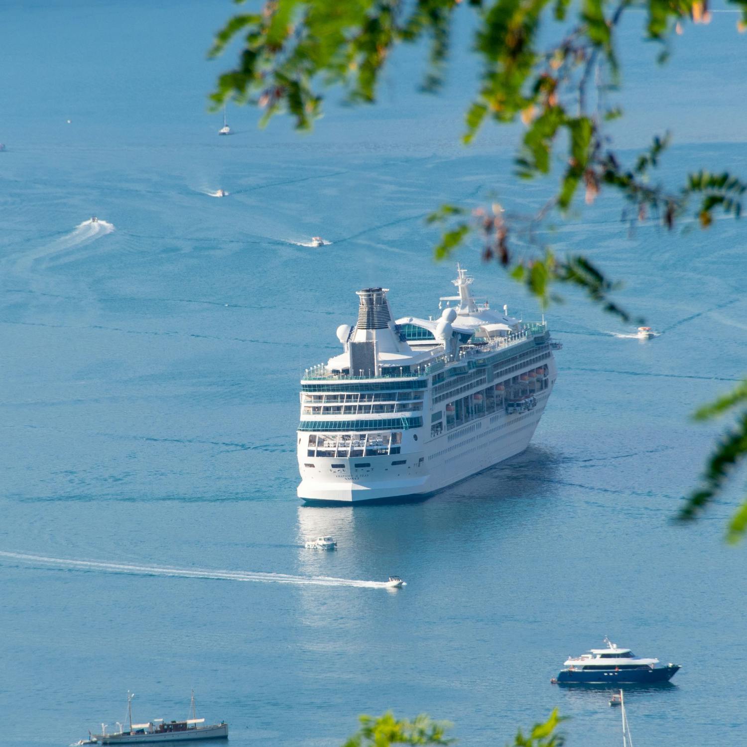 Why are cruise ships prone to disease outbreaks?