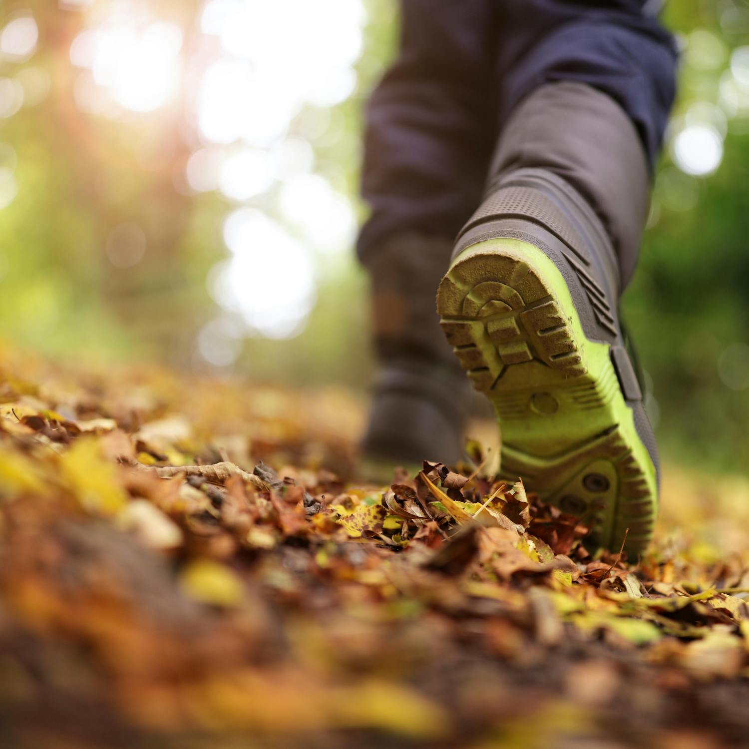 The Benefits of Walking Image