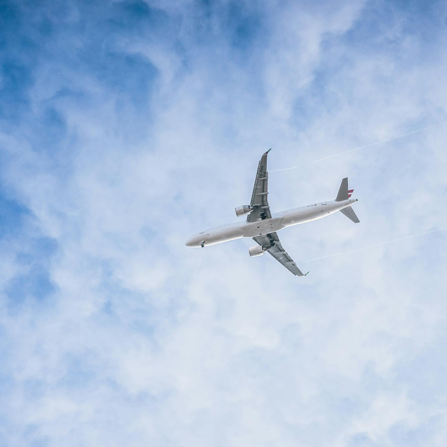 What should the compensation be if an airline loses your pet?