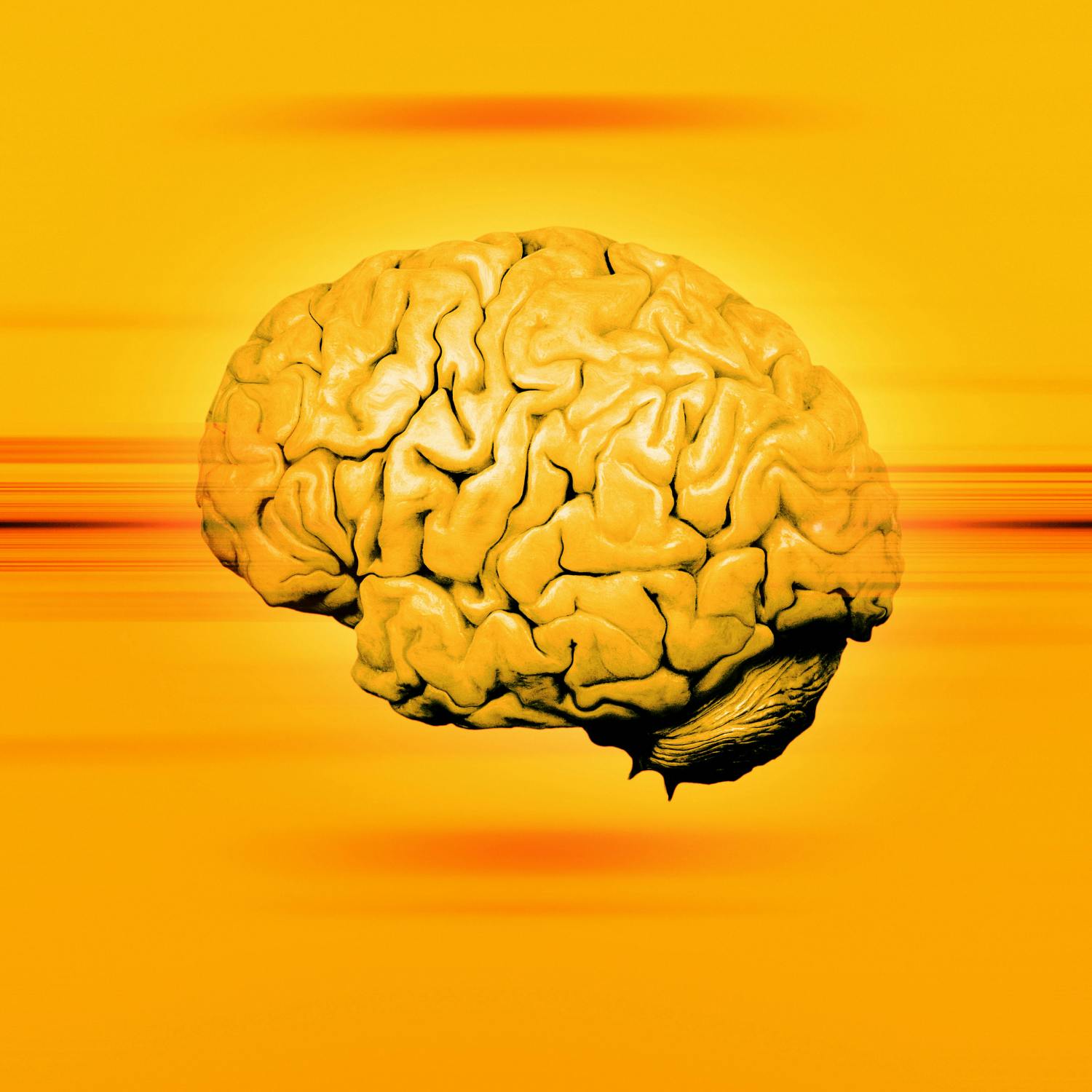 Science with Luke O'Neill: Genetic screen for IQ