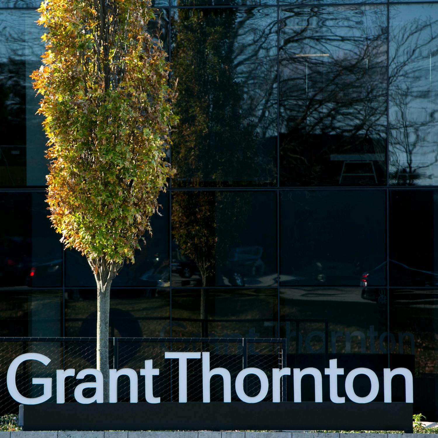 cover of episode Grant Thornton publishes its International Business report