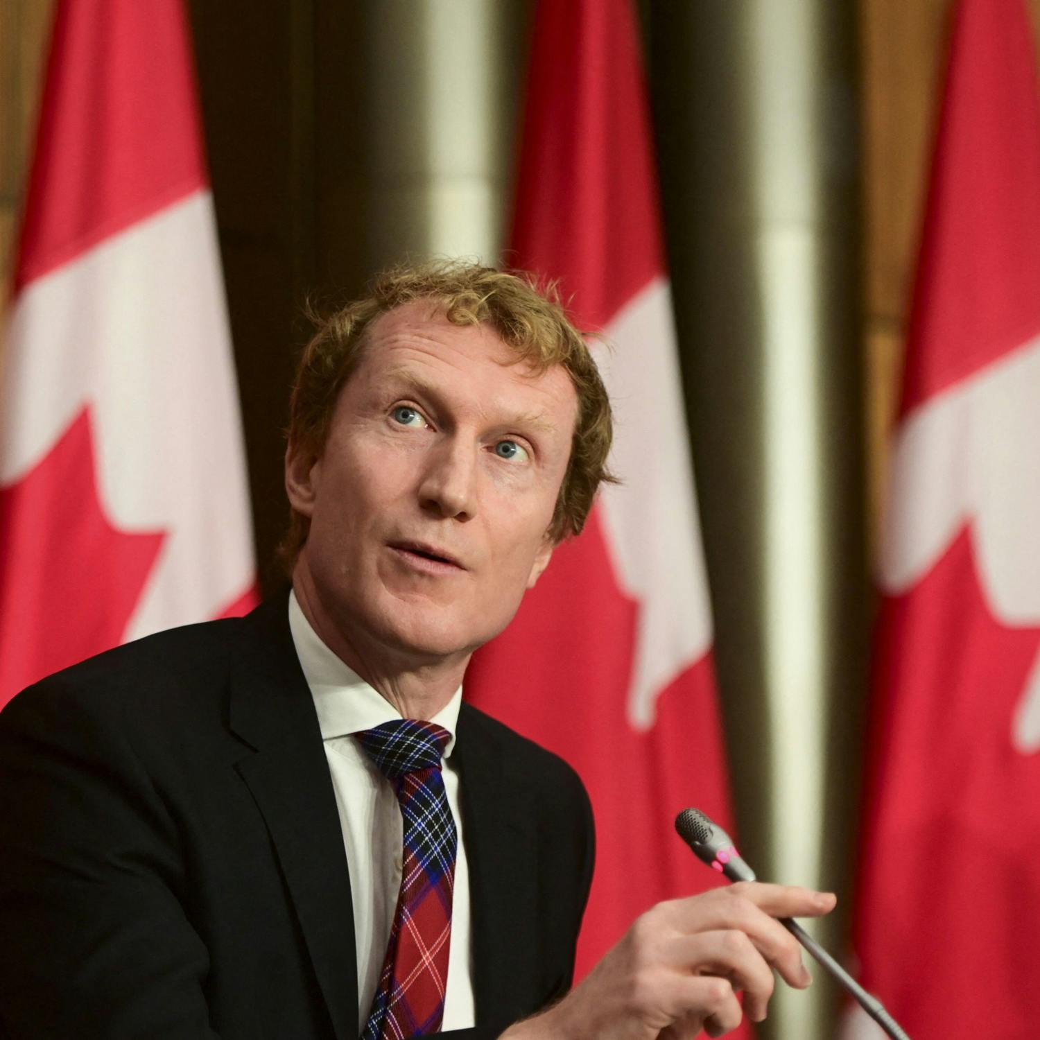 Canadian Minister on Ireland-Canada relations