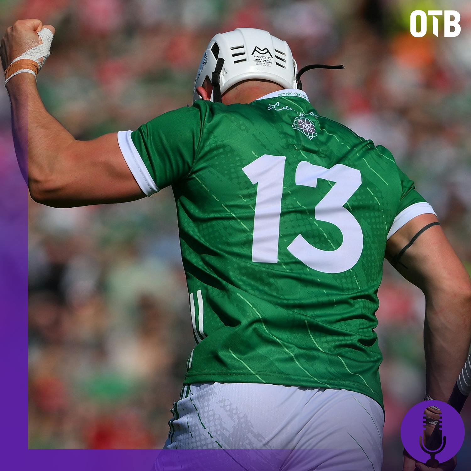 Tommy Walsh: Limerick's champions, Cork's character & Davy Fitzgerald's hurting